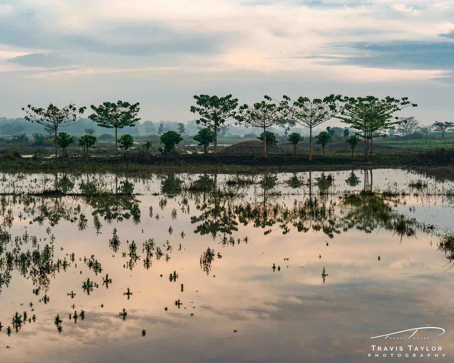travis-taylor-photography-1500px-35.jpg