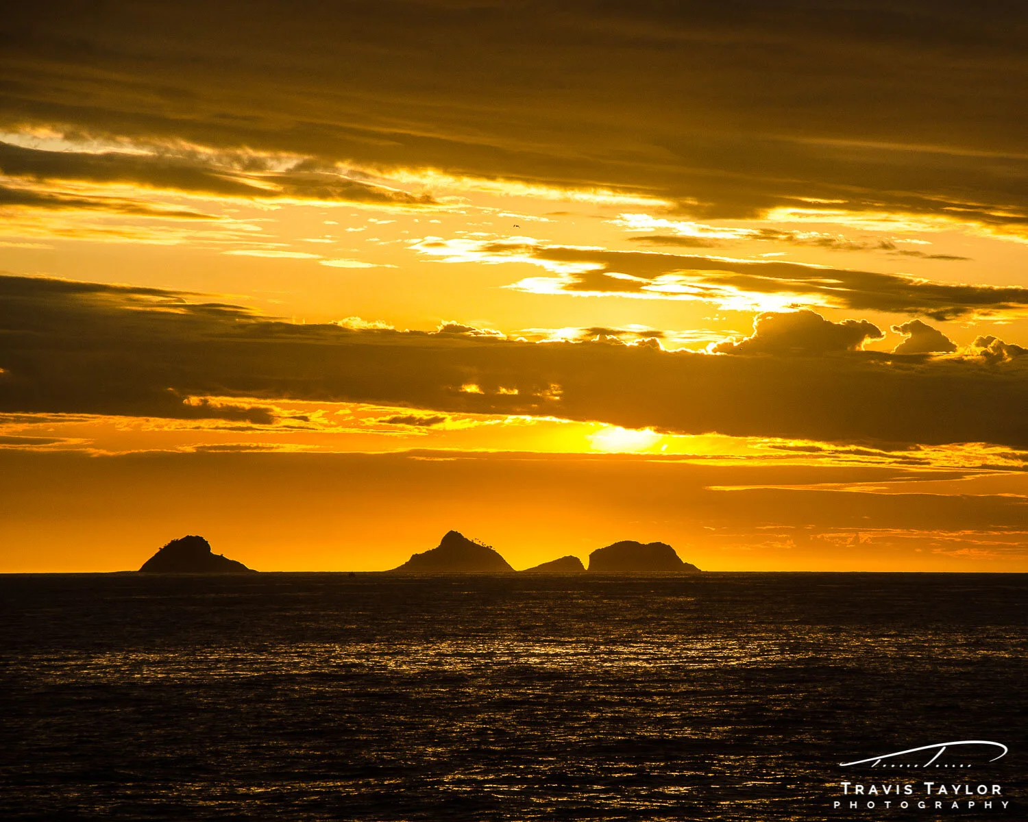 travis-taylor-photography-1500px-43.jpg