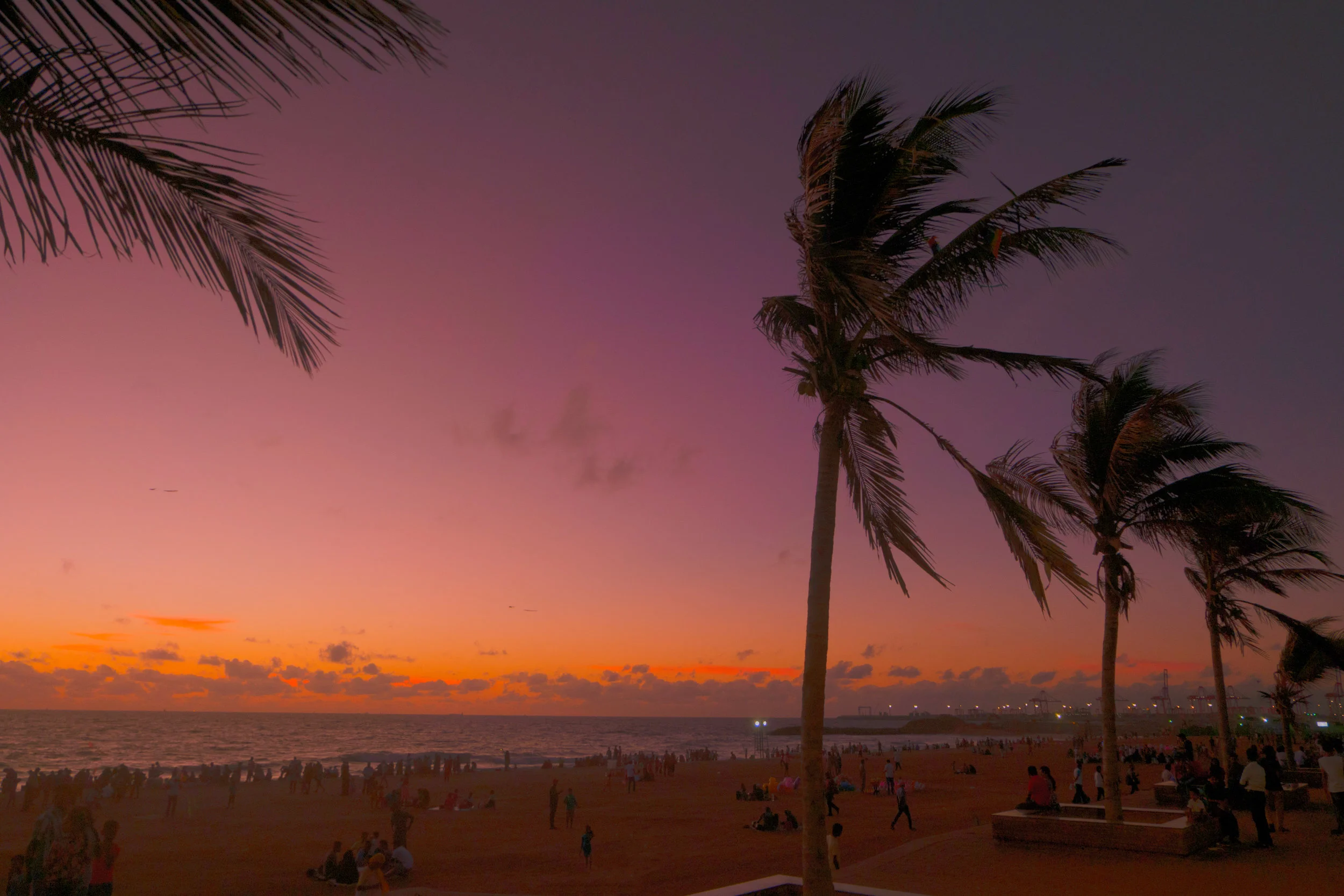 Love, the Master Communicator: David Calavitta