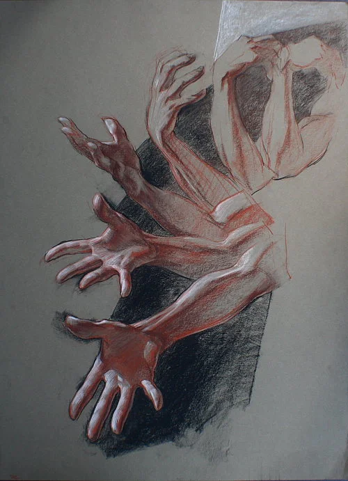 Hand Series 2
