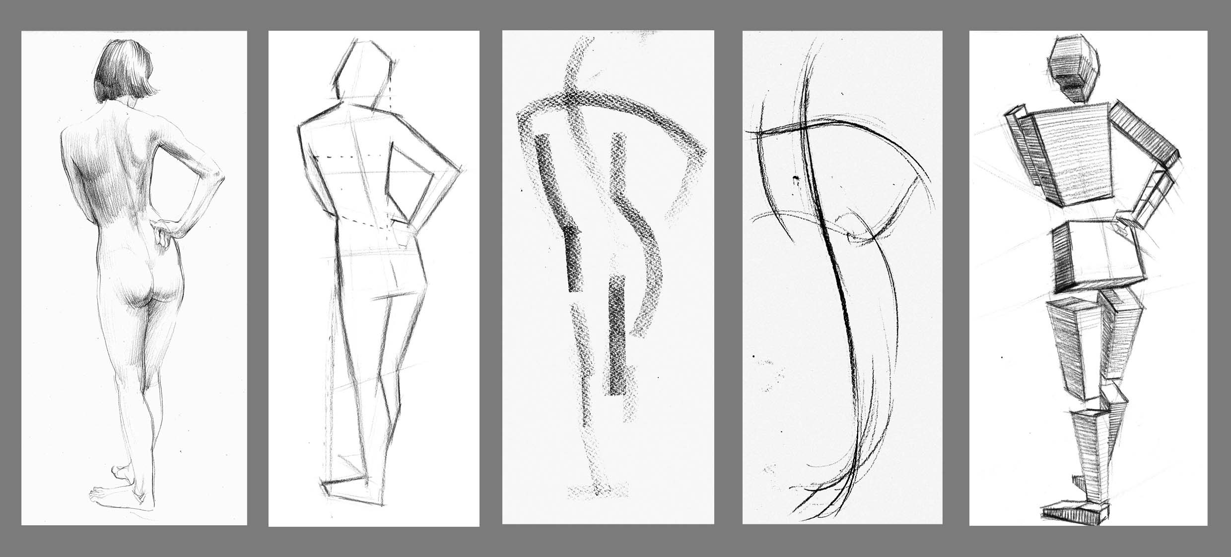 These images represent some of the aspects to be considered in life drawing: Accuracy, Design, Rhythm/animation, Form
