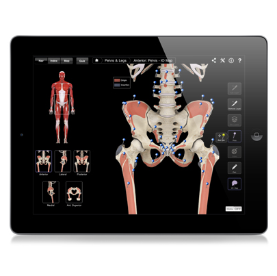 Nova Muscle System pro III