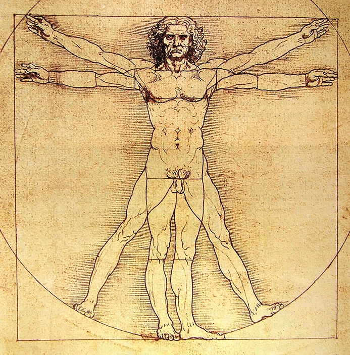 Notice how Leonardo uses the difference between the heavy weight of the edge/horizon contours and the lighter weight of the plane breaks inside the lines of the figure. 