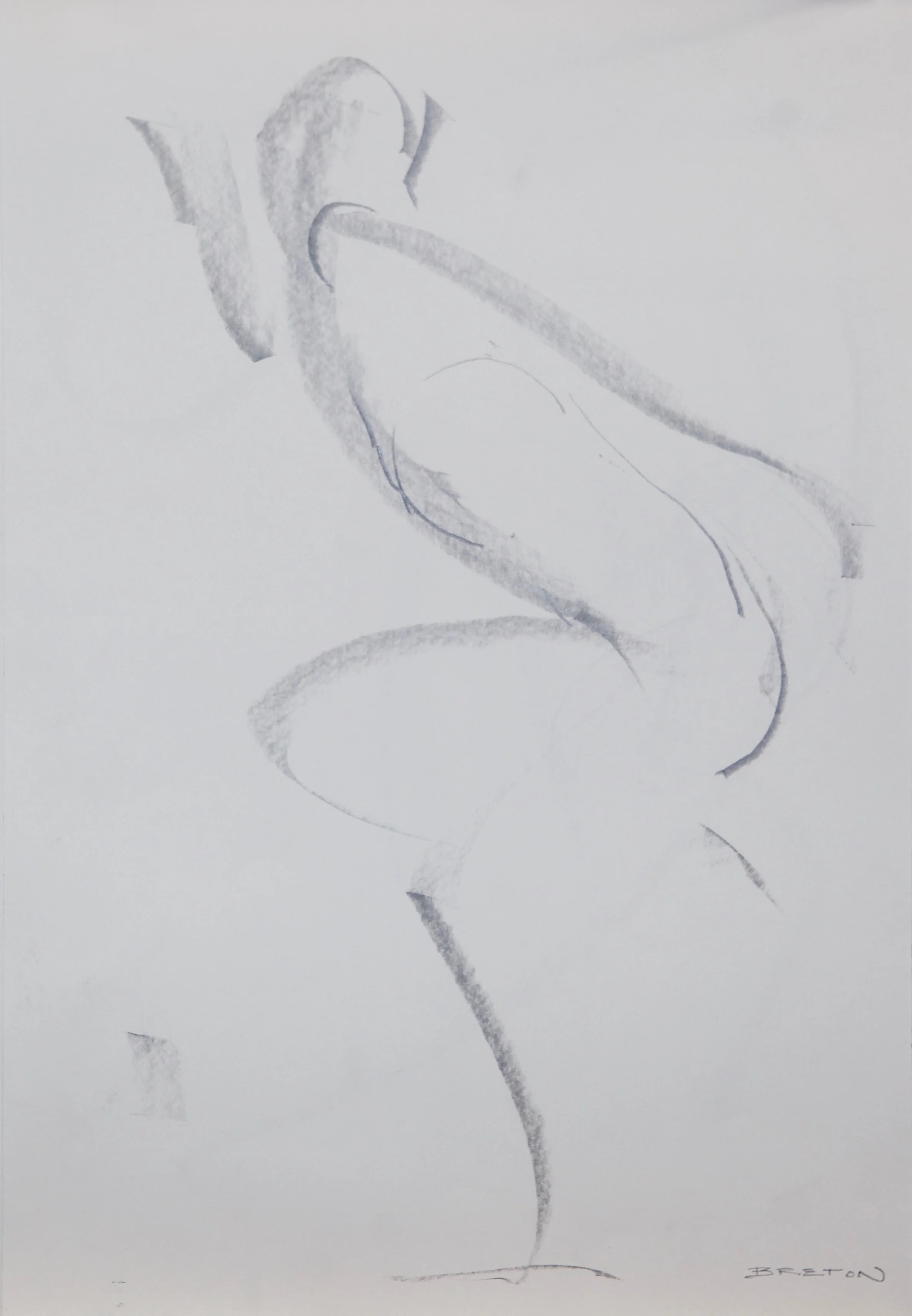 Calligraphic Life Drawing 2