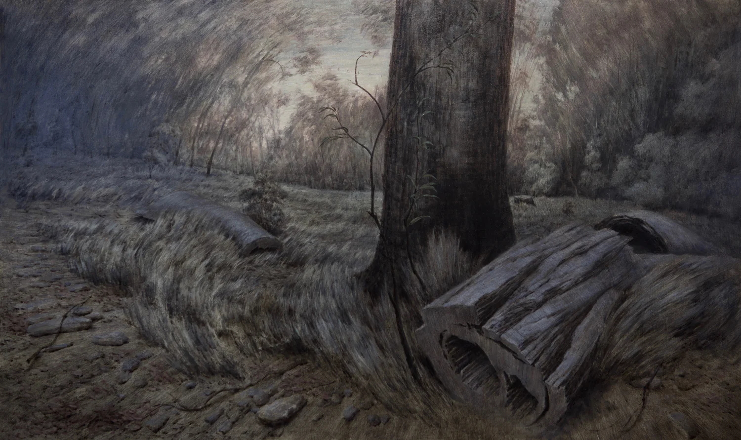 Fallen Timber