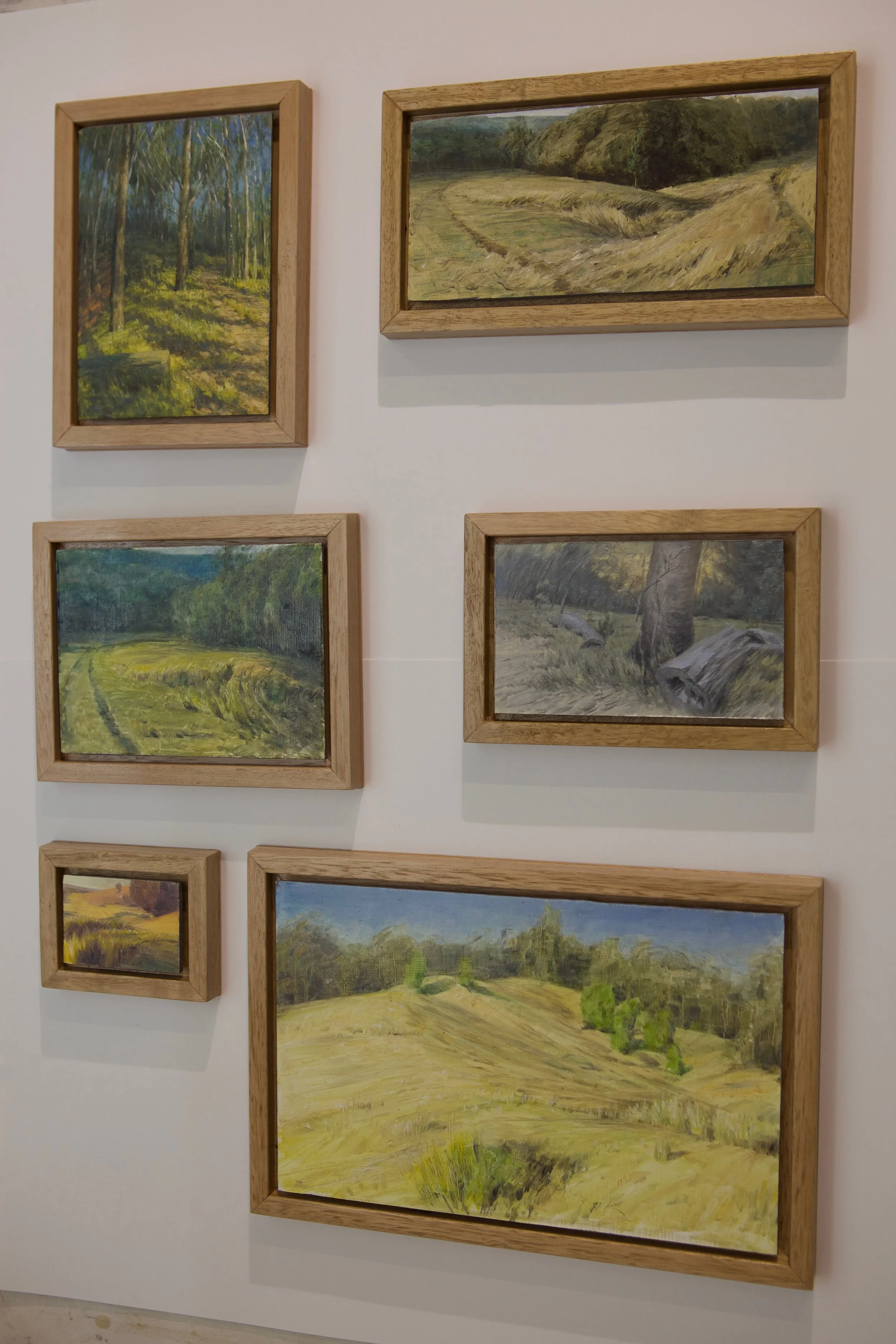 Colour Studies for Various