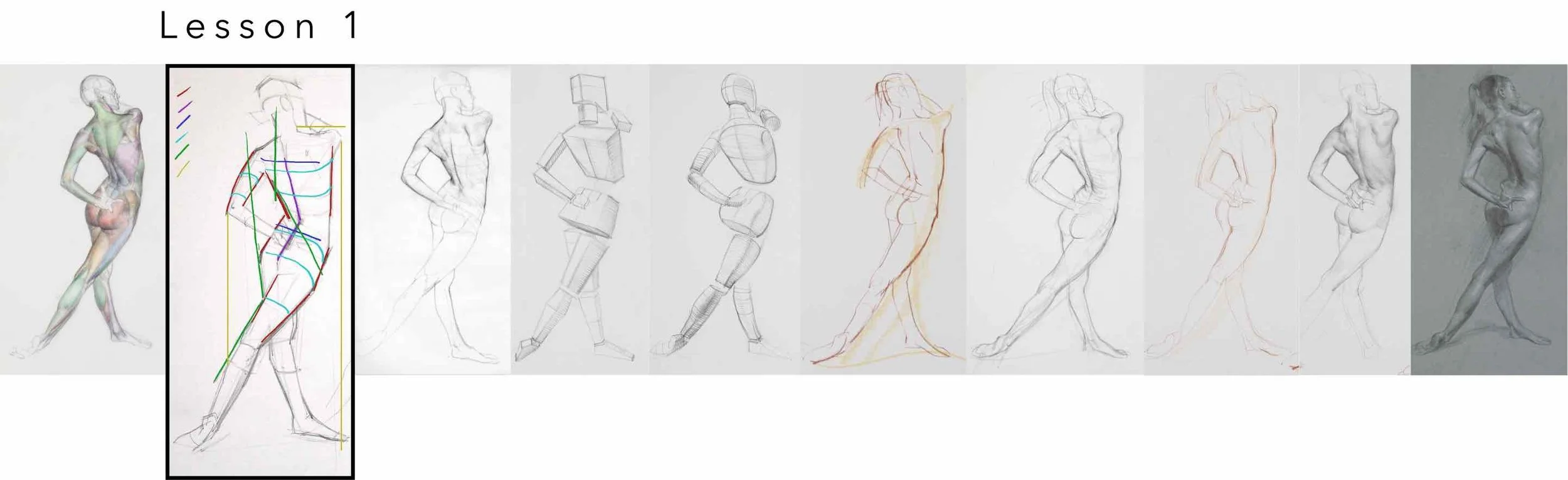 header lesson 1 scott breton form gesture anatomy life drawing course.jpg