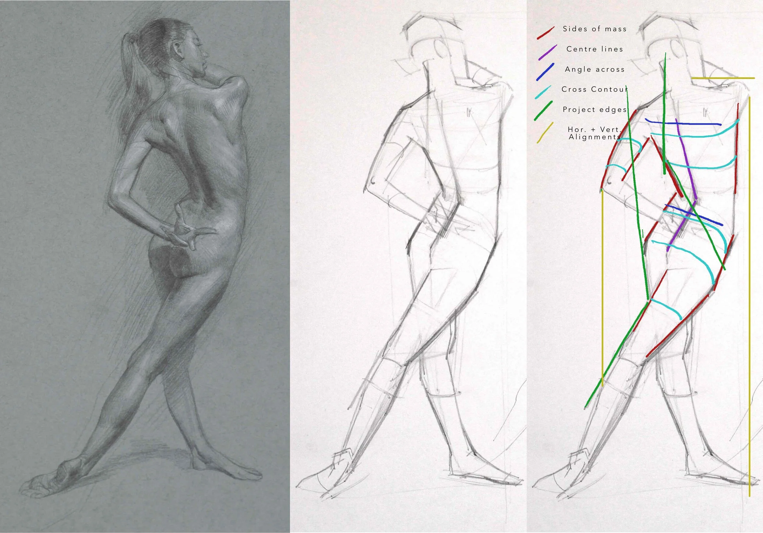 Lesson 1 detail scott breton Life drawing form gesture anatomy.jpg
