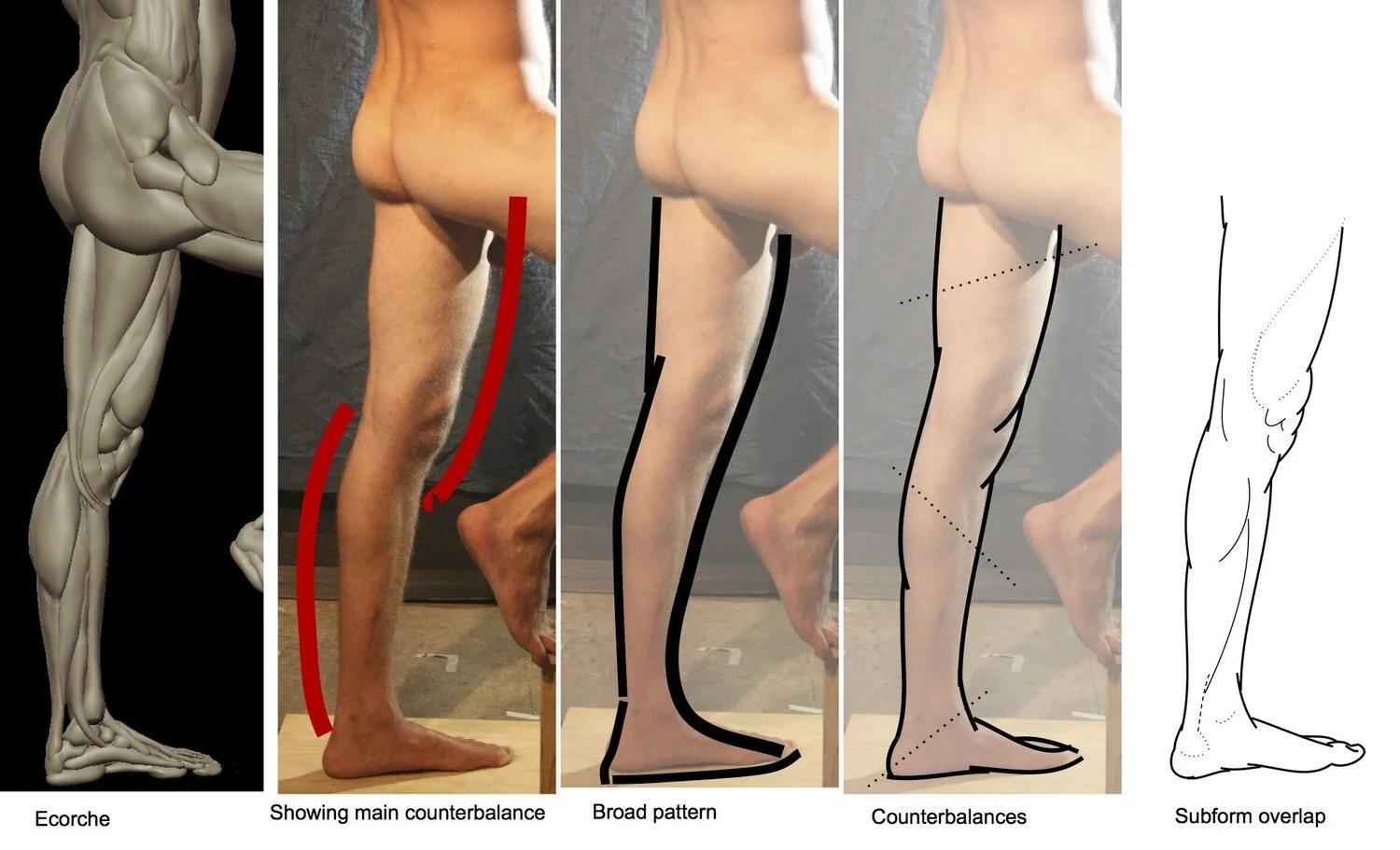 L8+inside+of+leg.jpg