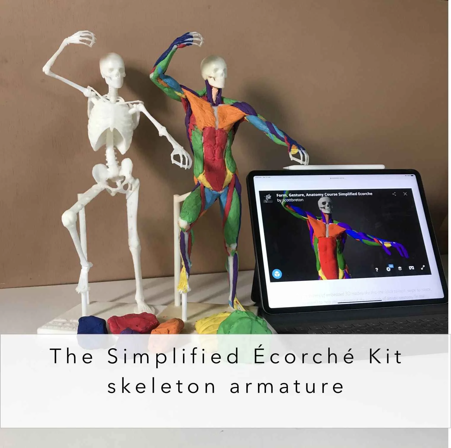 learn artistic anatomy.jpg