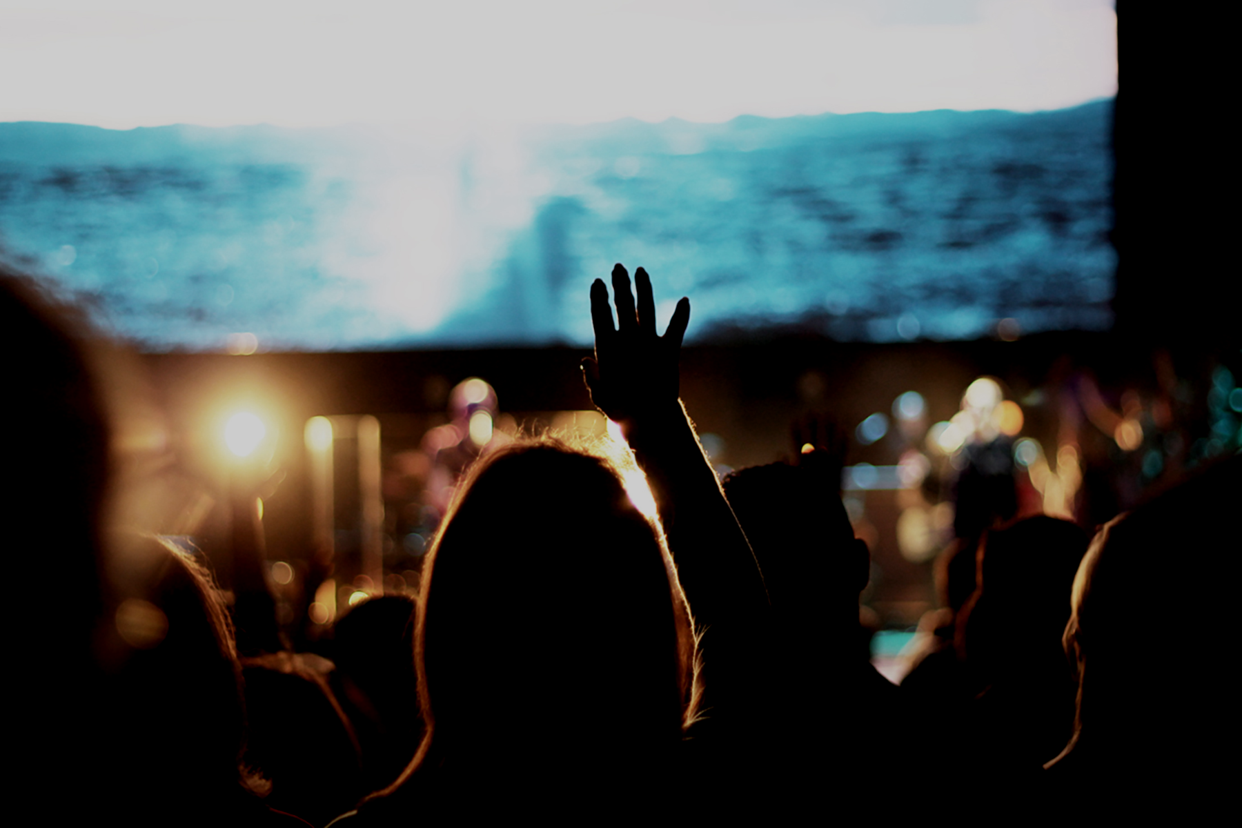 Untitled design-6.png