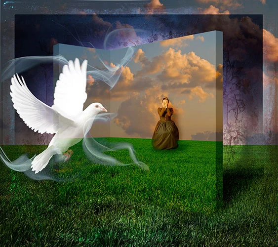 White Dove