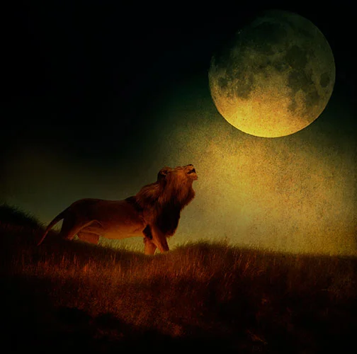 Moon Lion