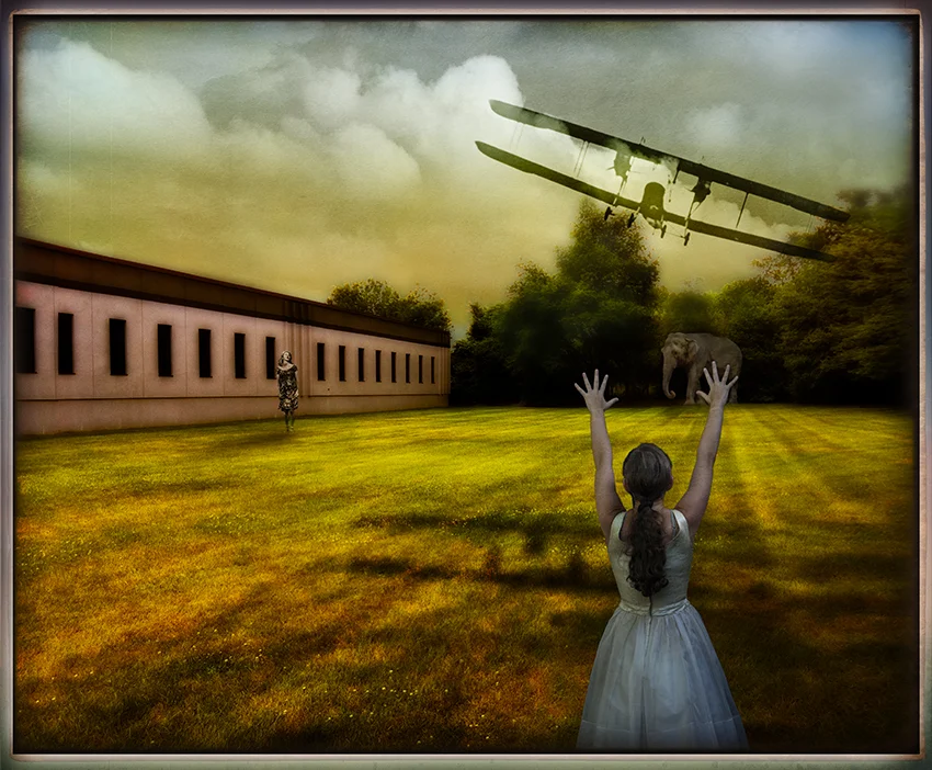 Bi-plane