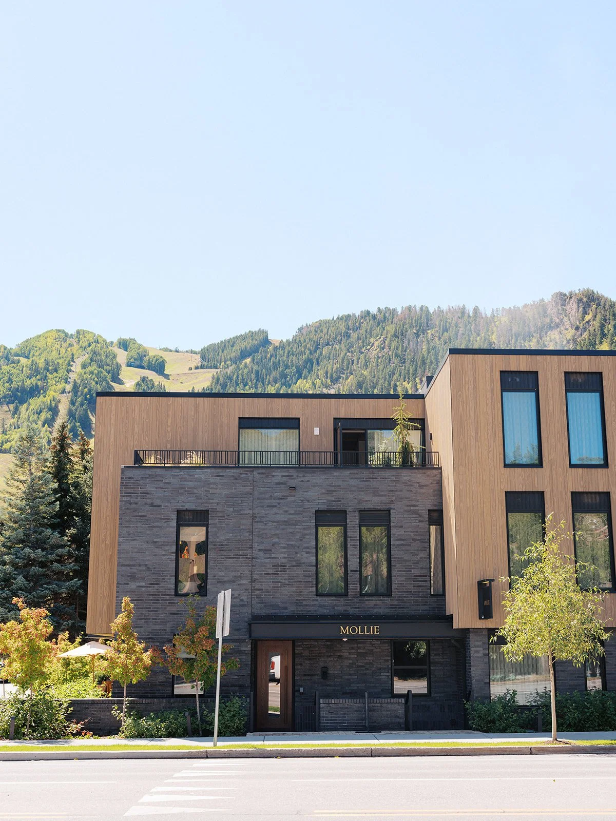 Mollie Wedding_ Aspen S + P-9.jpg