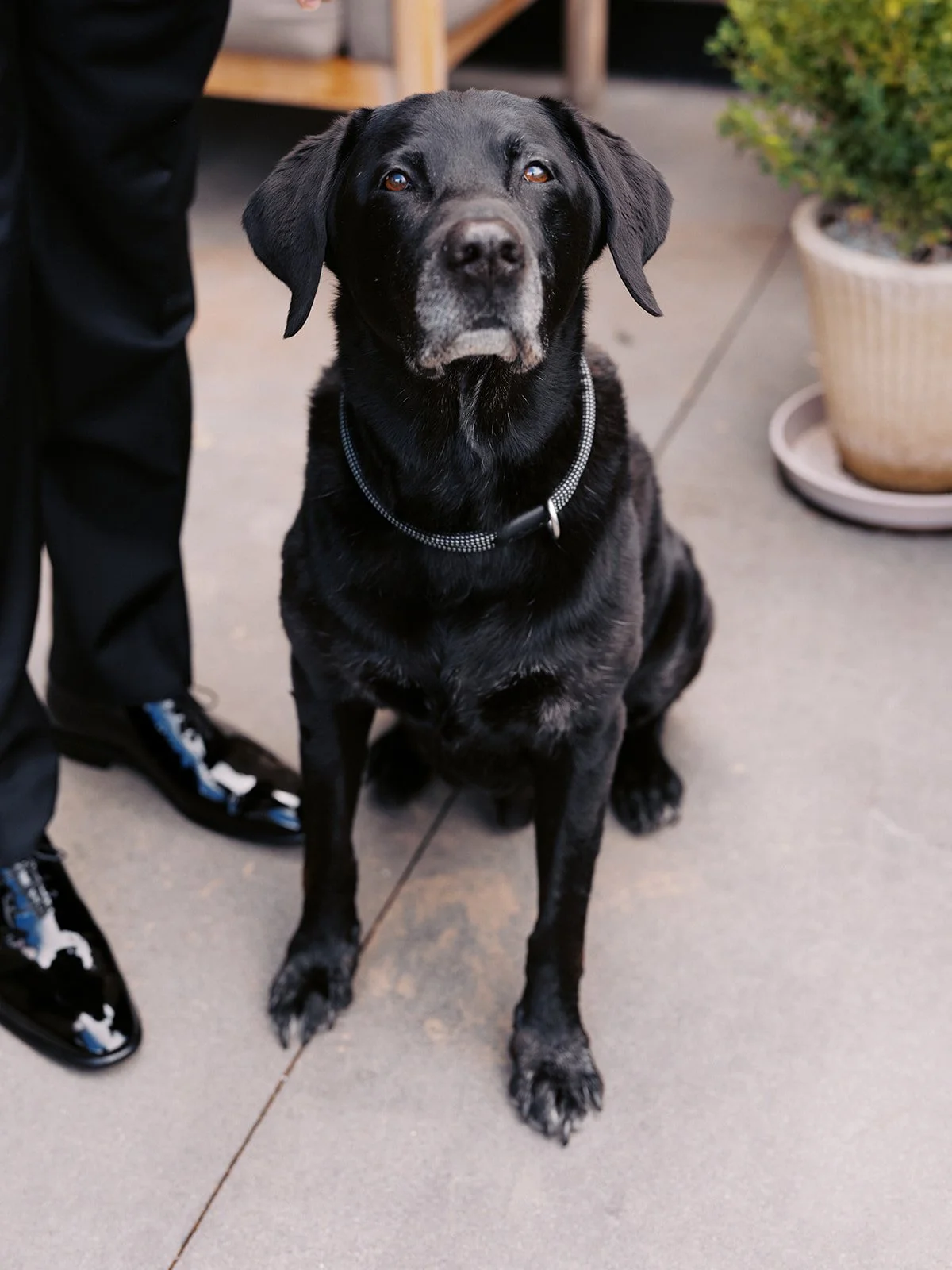 Mollie Wedding_ Aspen S + P-15.jpg