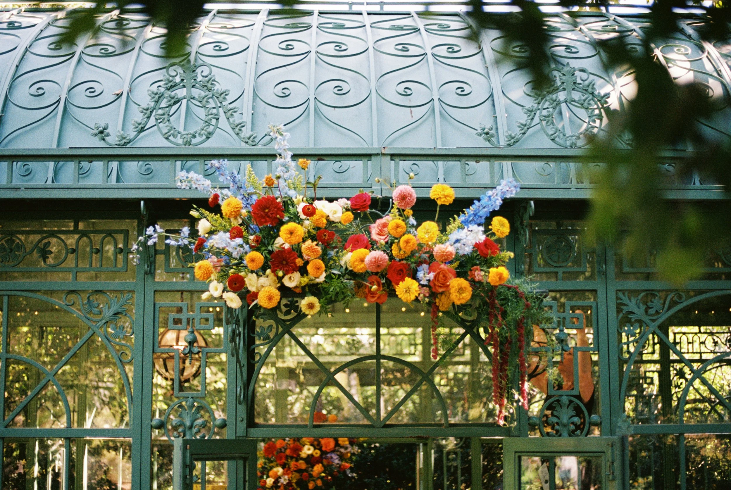 35mm Film-133.jpg