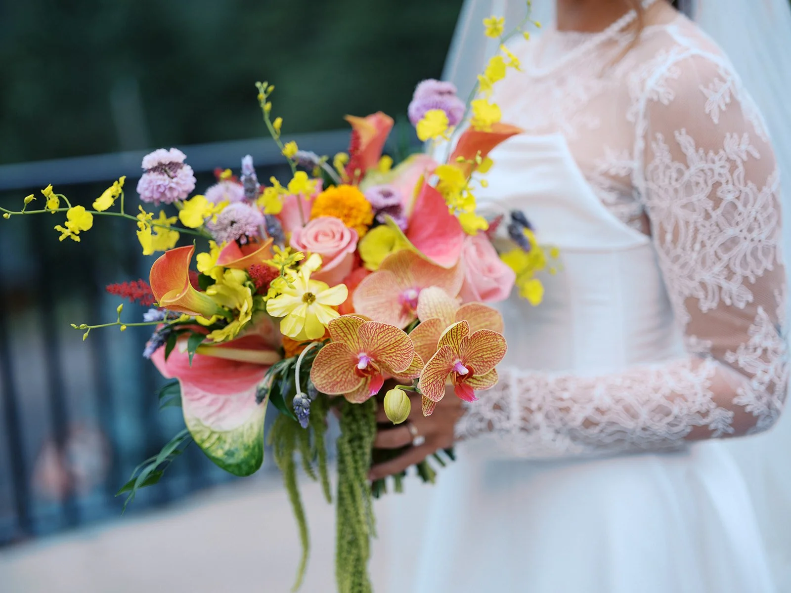 Chedon and Christine Della Terra Wedding-15.jpg