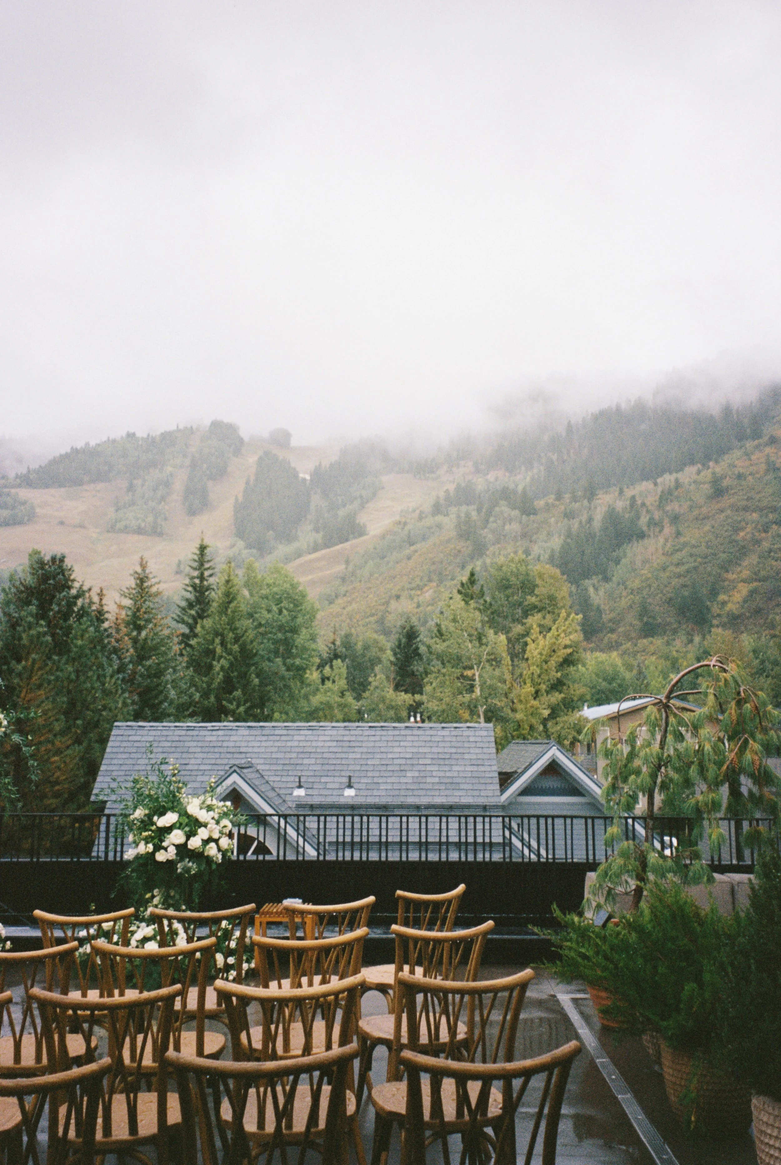 35mm Film-156.jpg