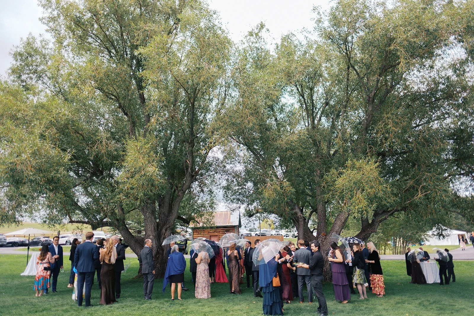 Catamount Ranch Wedding, Steamboat Springs-49_websize.jpg