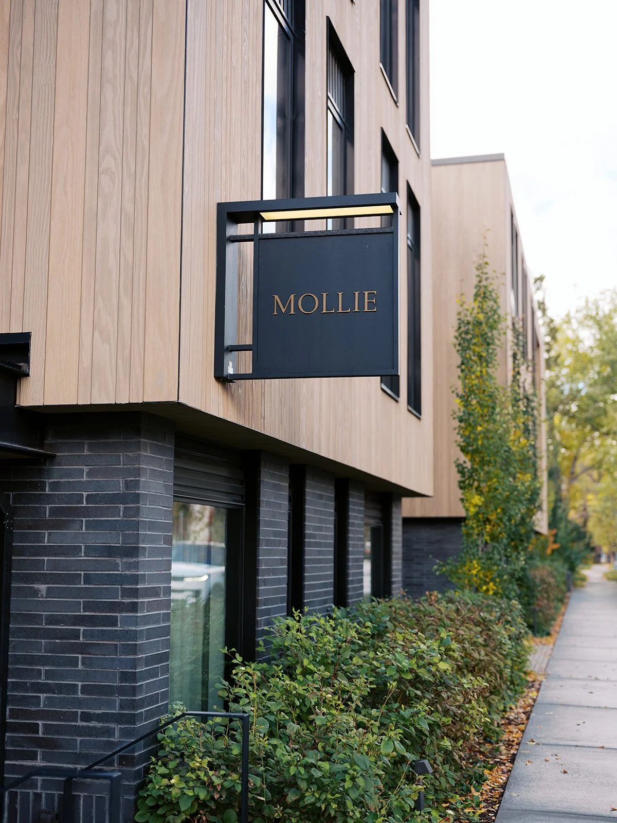 Mollie Aspen Wedding E + A-3.jpg