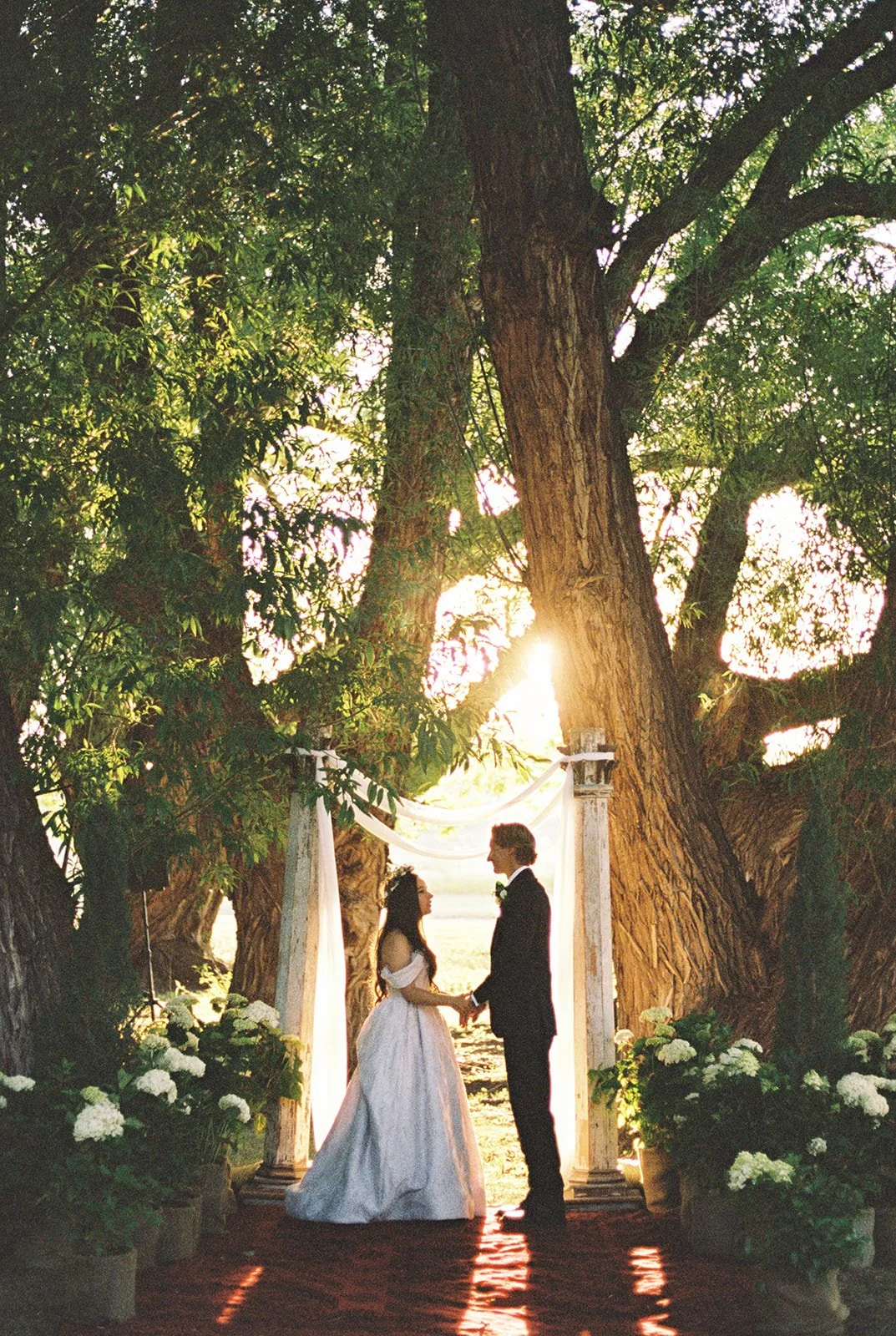 Elizabeth & Daivid - Film 01-5.jpg