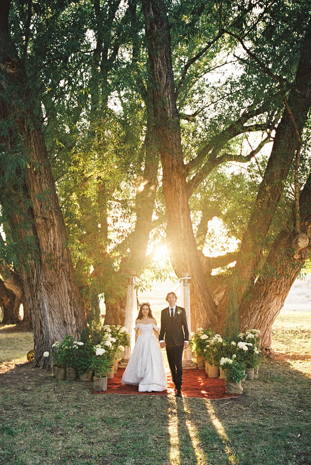 Elizabeth & Daivid - Film 02-20.jpg