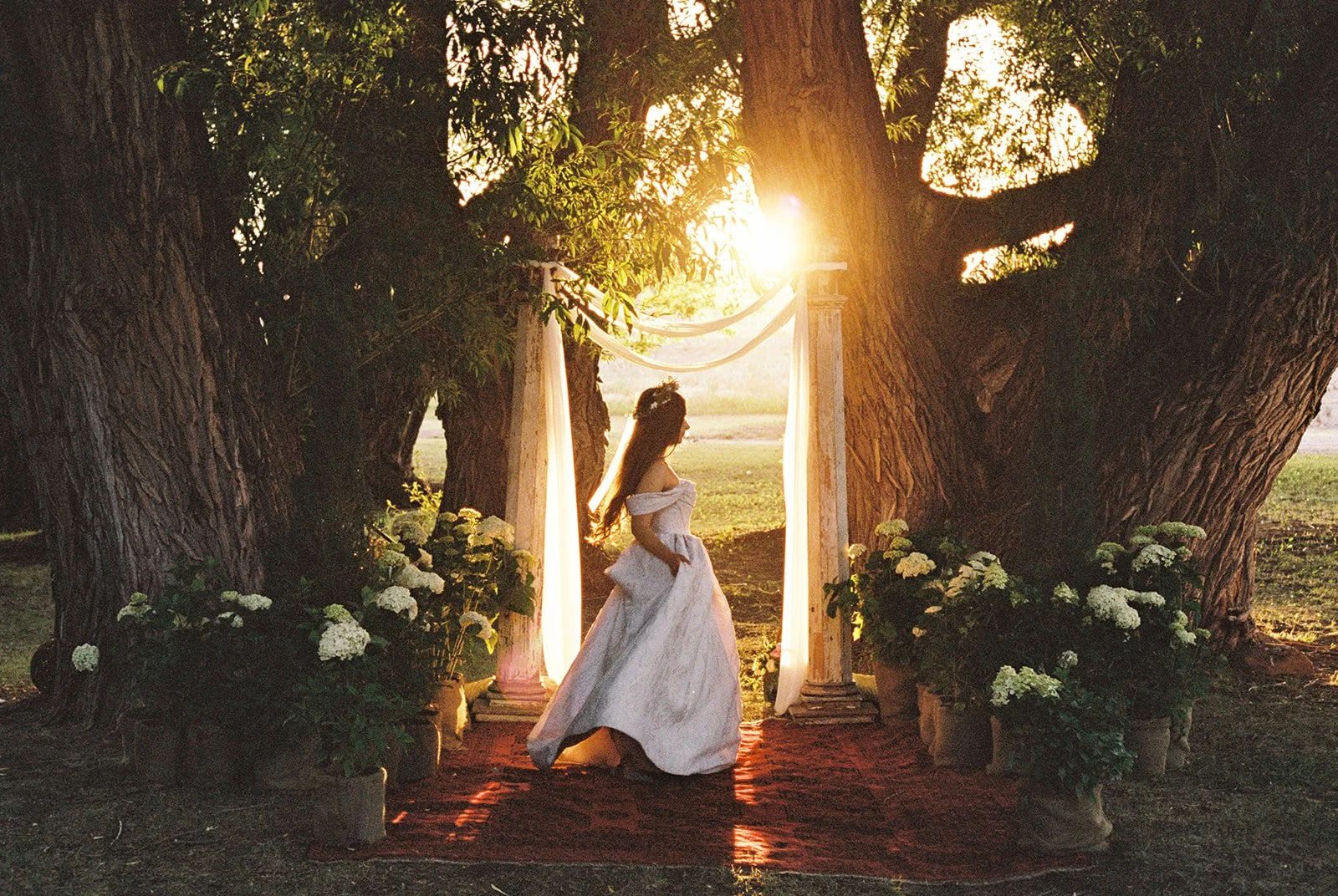 Elizabeth & Daivid - Film 01-15.jpg