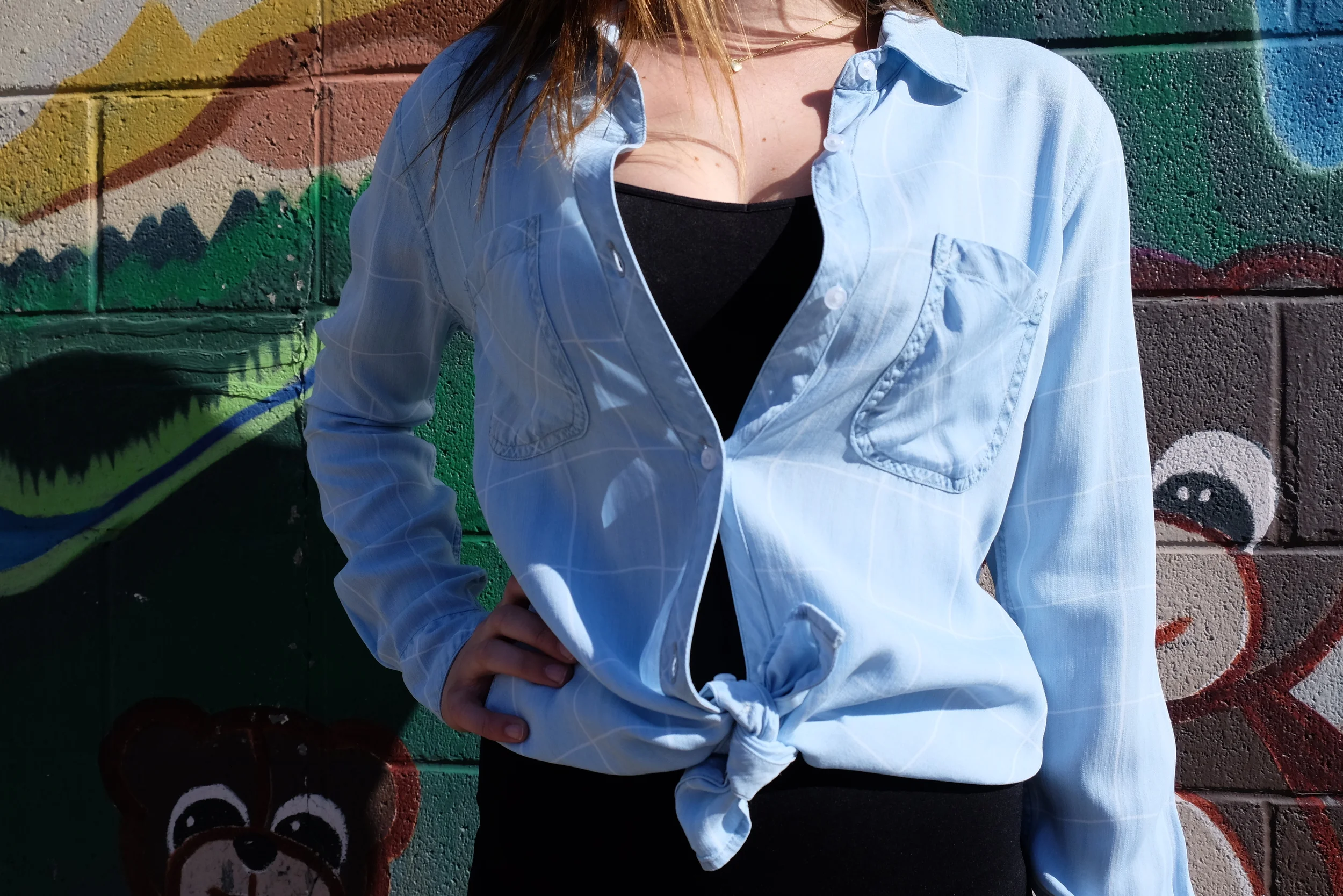 Rails Carter Tencel Denim Light Vintage Grid Buttondown.
