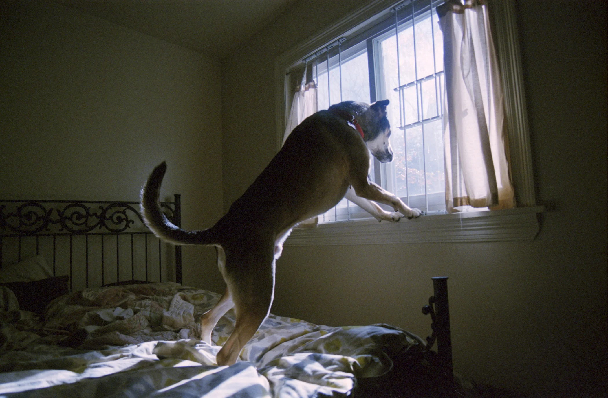 Detail, Unemployed, 2005-2015, color negative scans