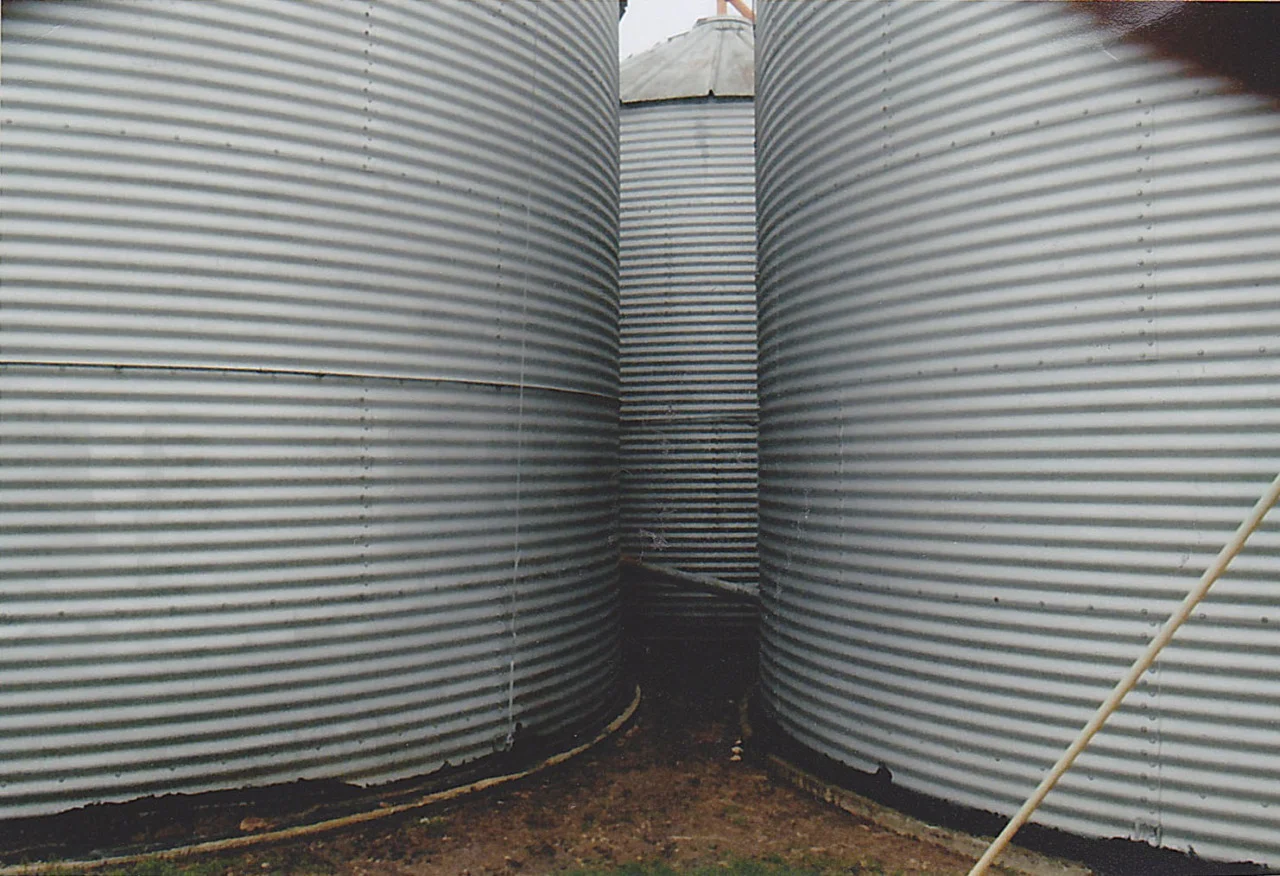 Excerpt from Untitled series (our farm and Dutch workers), 2013