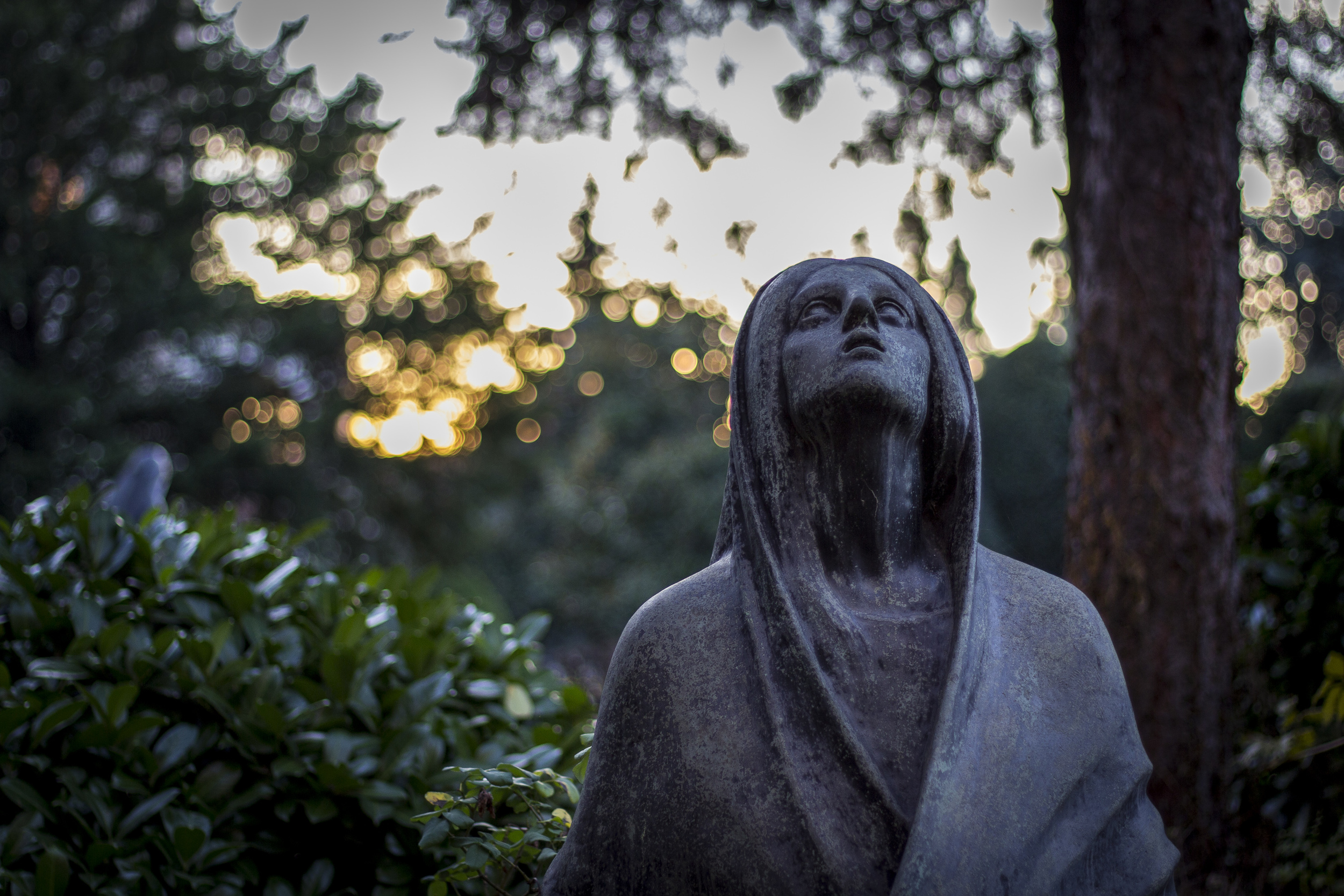 Woman and the Sky