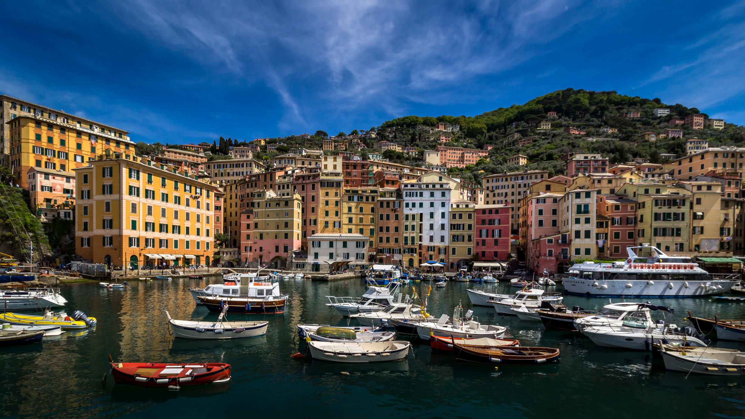 Port of Camogli