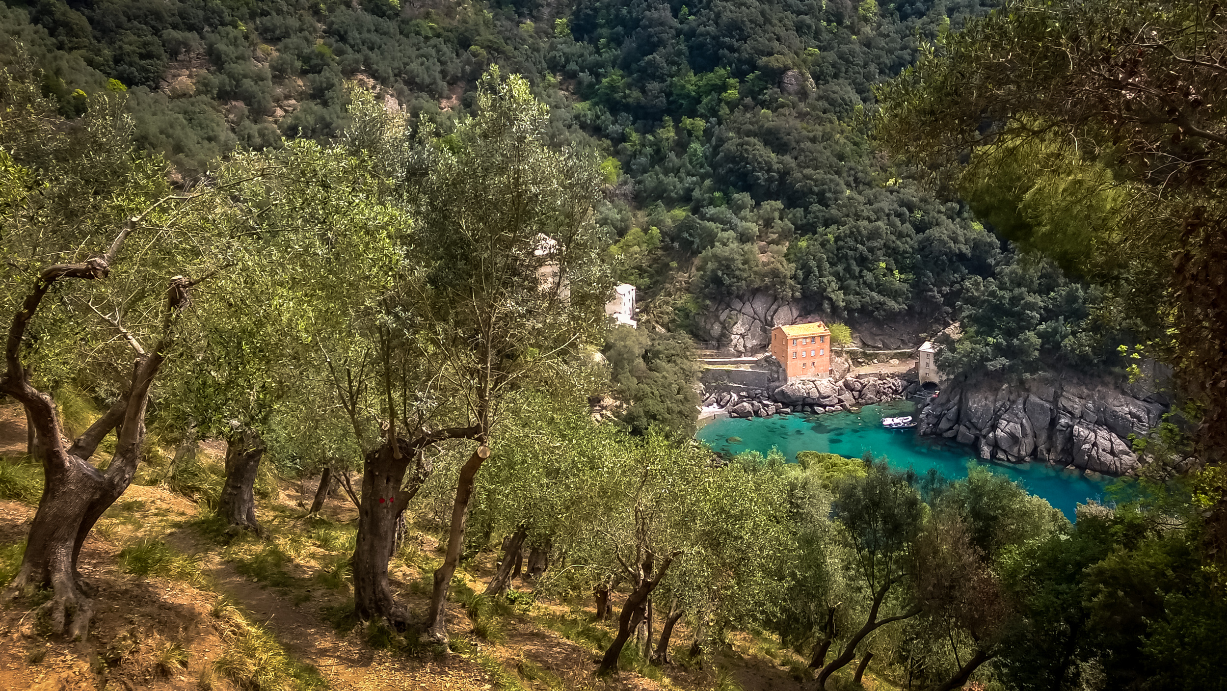 San Fruttuoso seen from the Hills