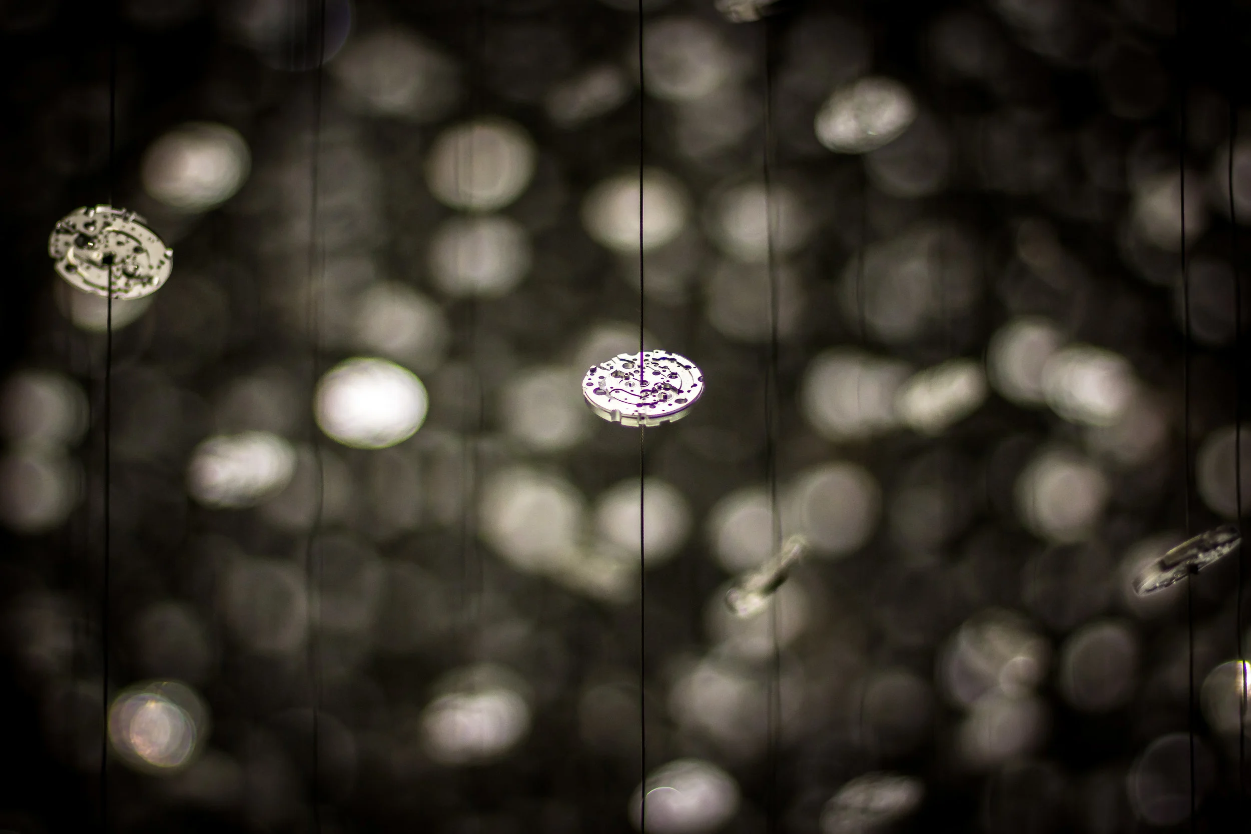 Movements on Strings. Photo by NR.