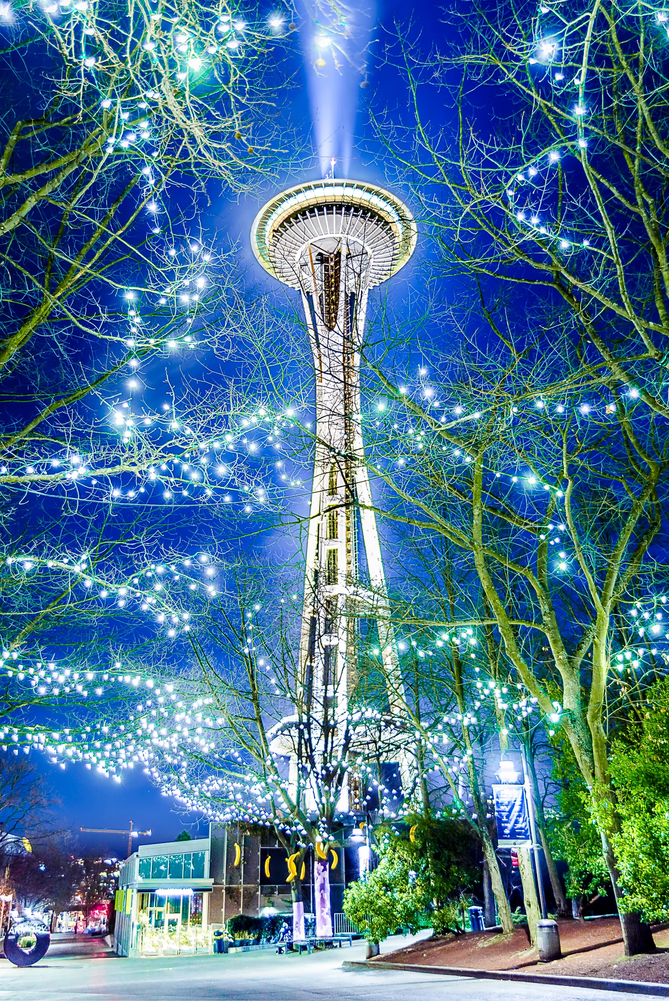 The 12's and the Neadle (1 of 2).jpg