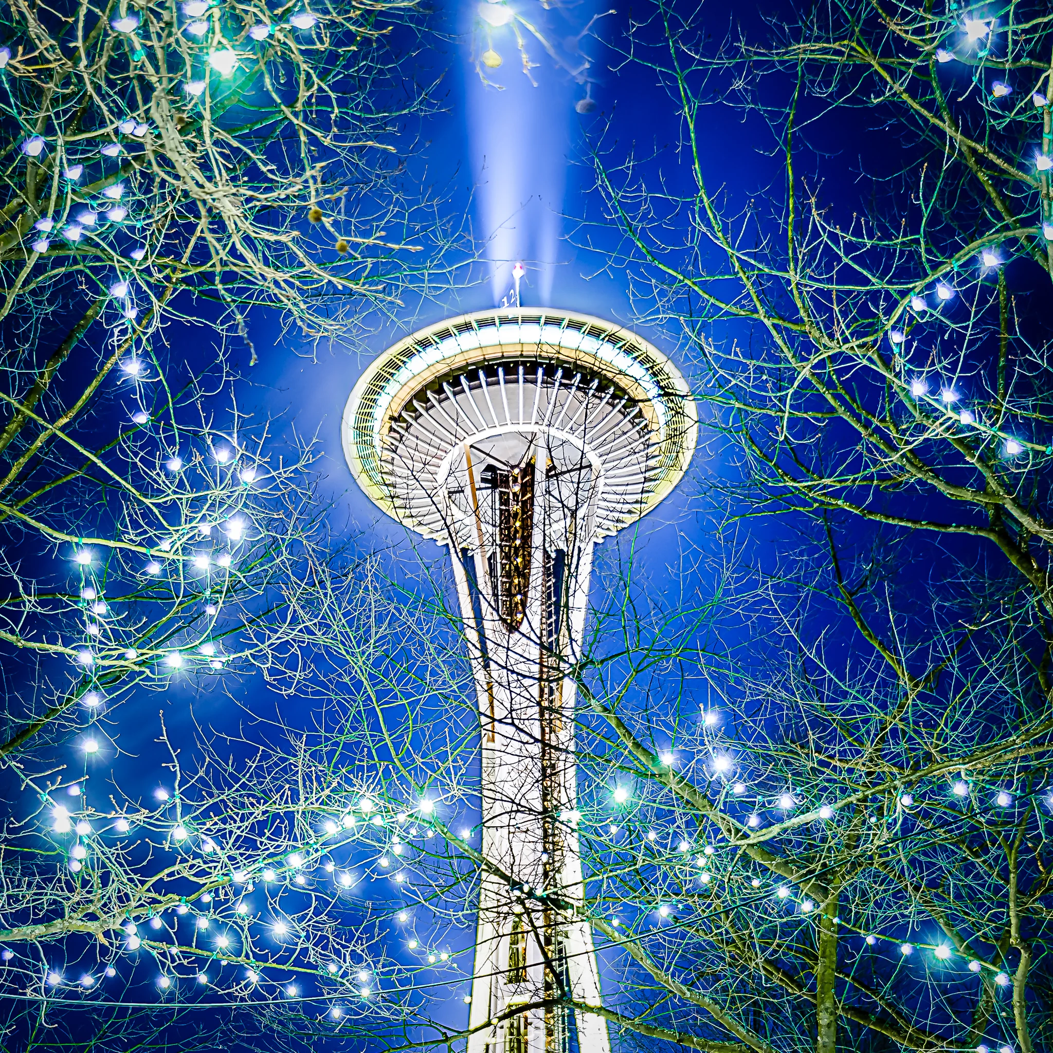 The 12's and the Neadle (2 of 2).jpg