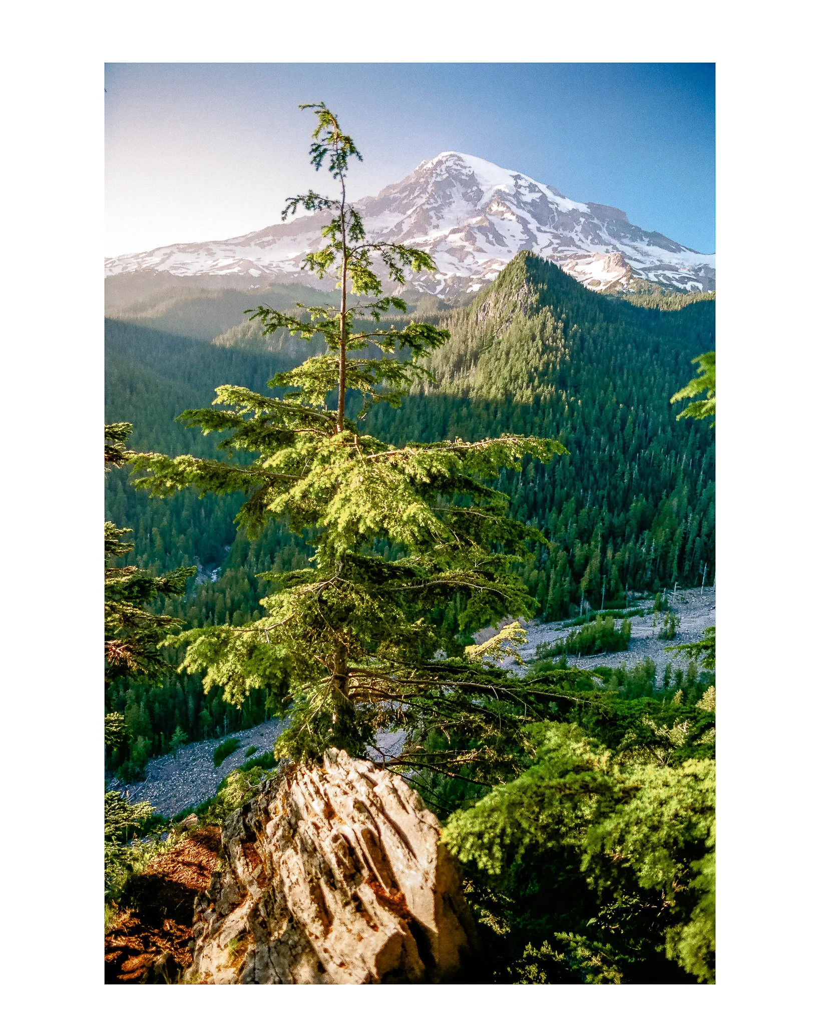 Home Page (32 of 45).jpg