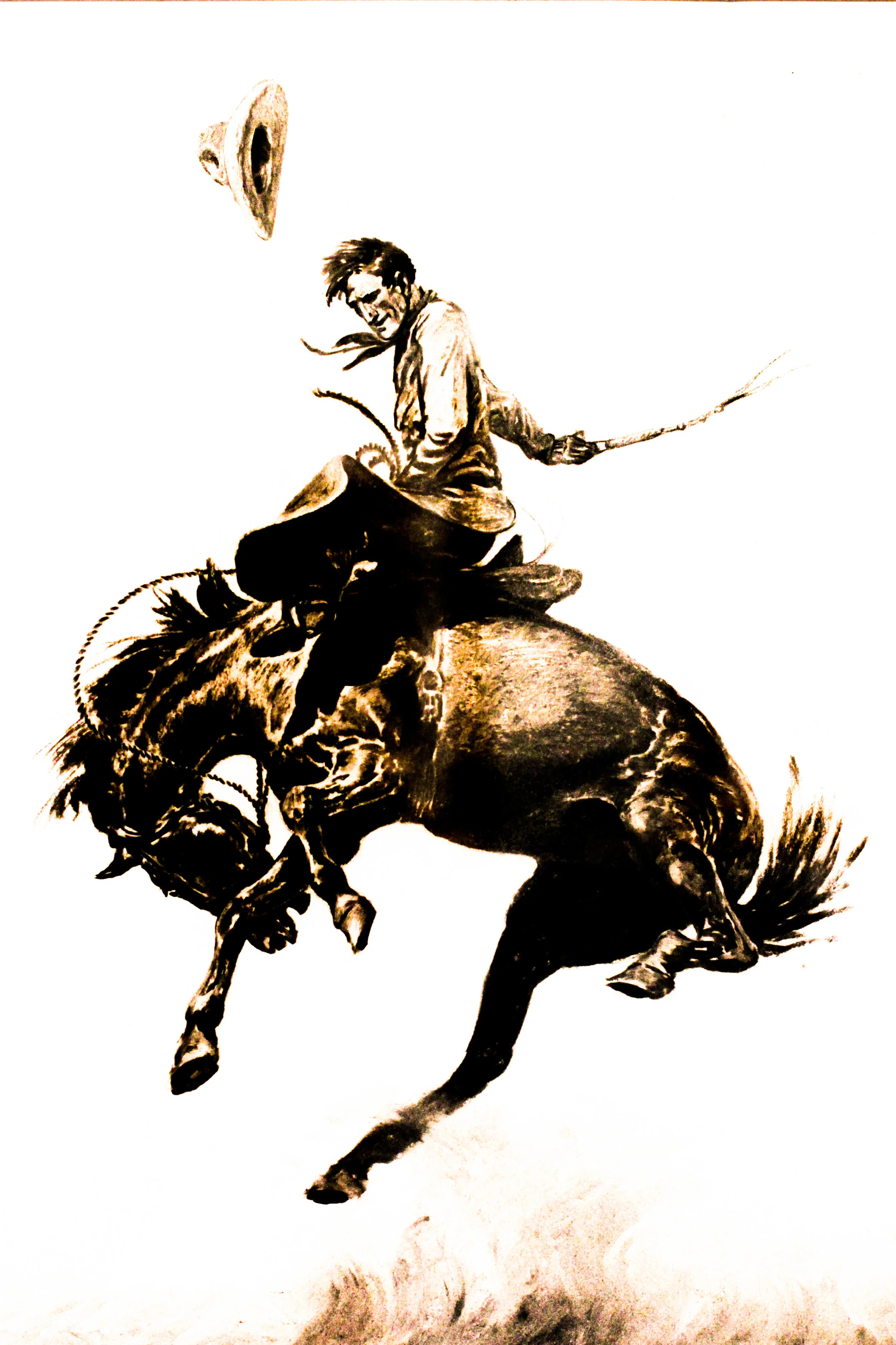 break em in  (1 of 1).jpg