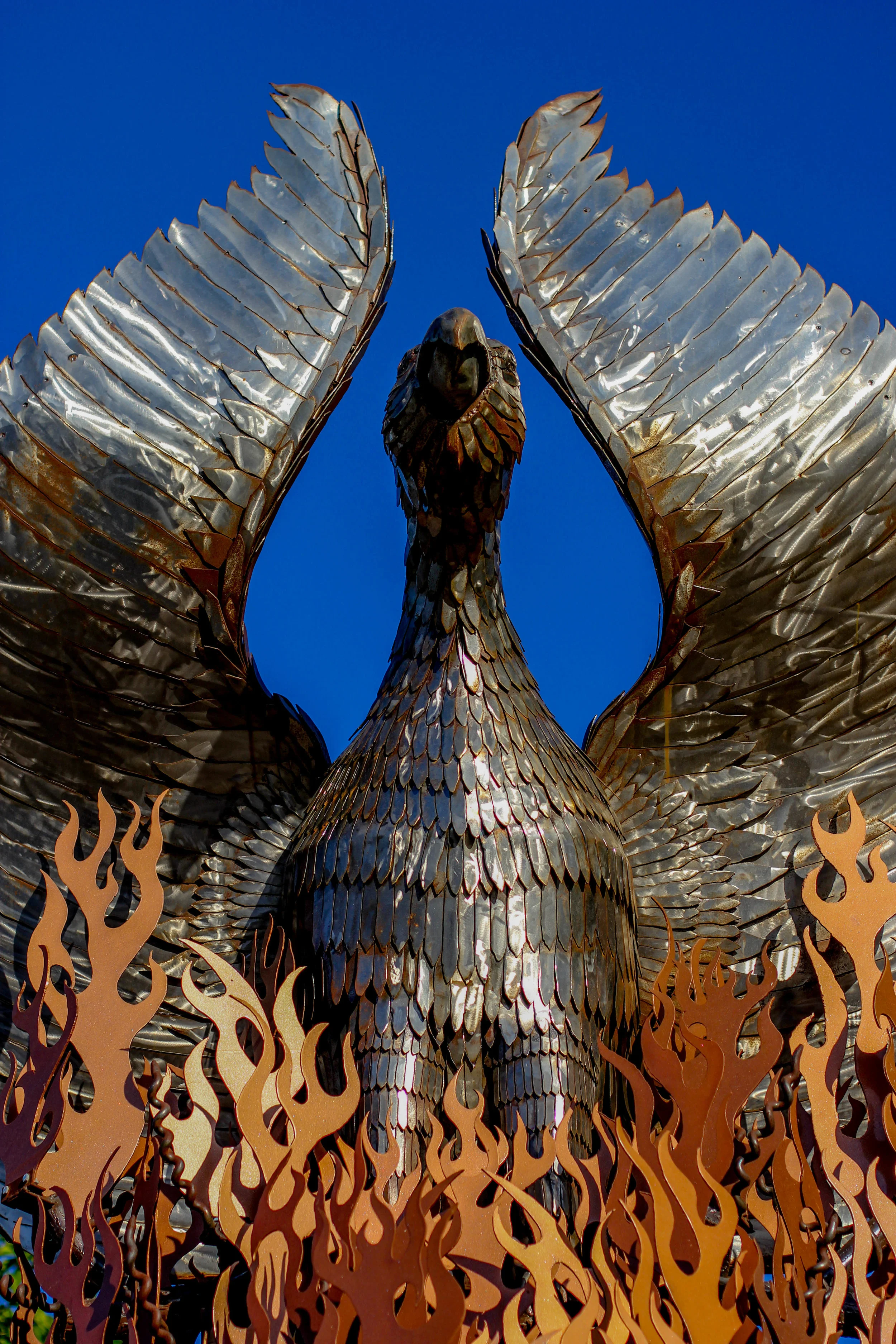 phoenix rising front  (1 of 1).jpg