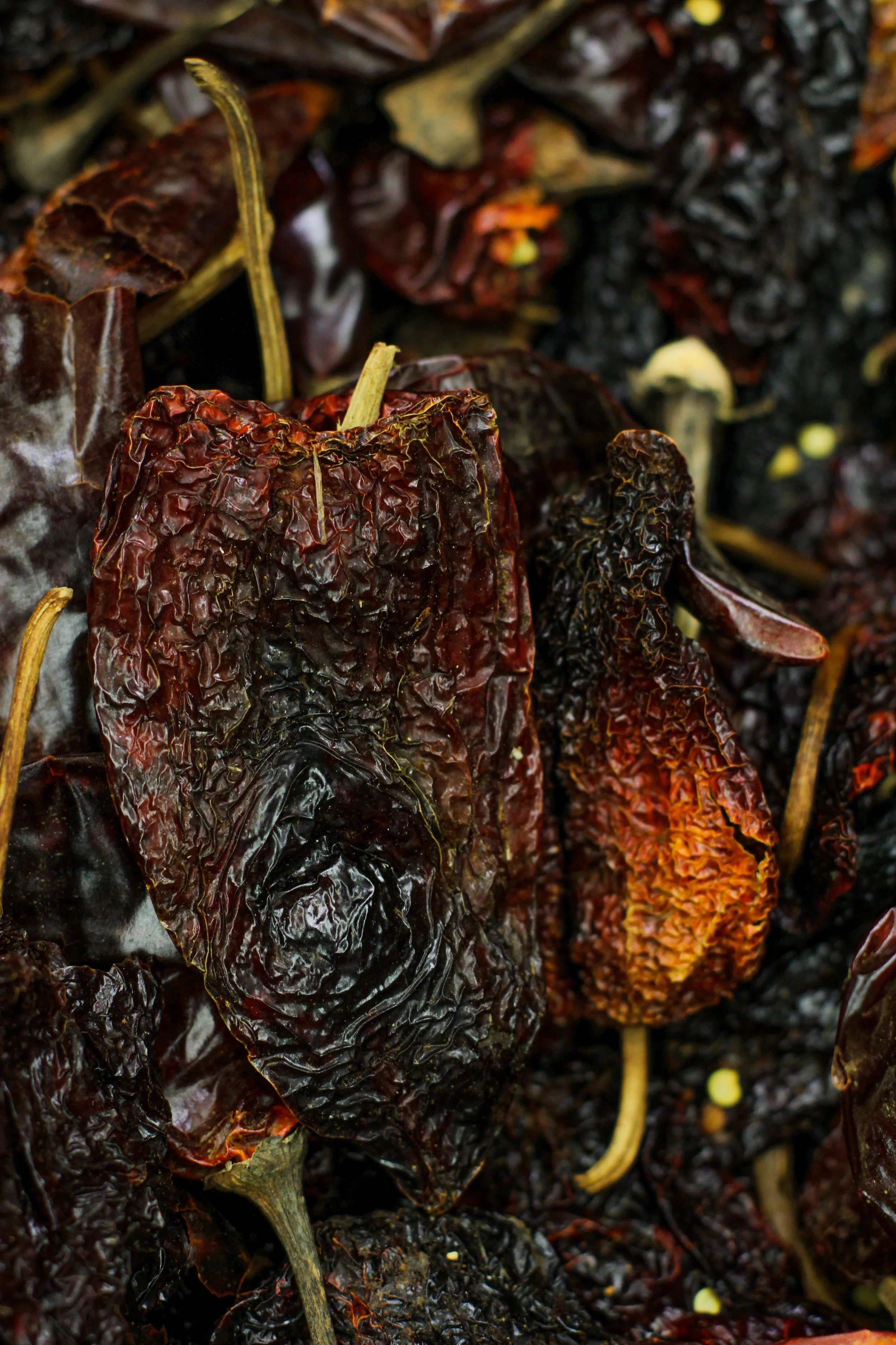 dried peppers (1 of 1).jpg