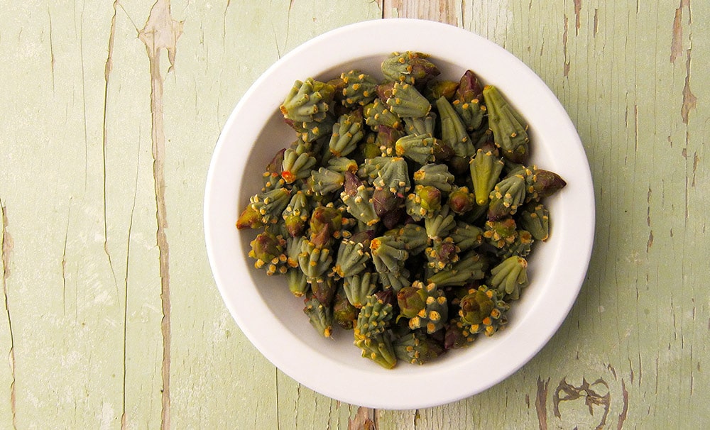 bowl-of-cholla-buds.jpg