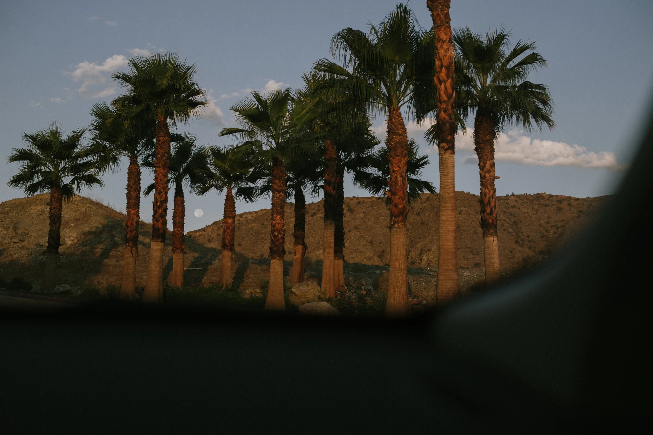 The-Glossier-Palm-Springs-CA-4.jpg