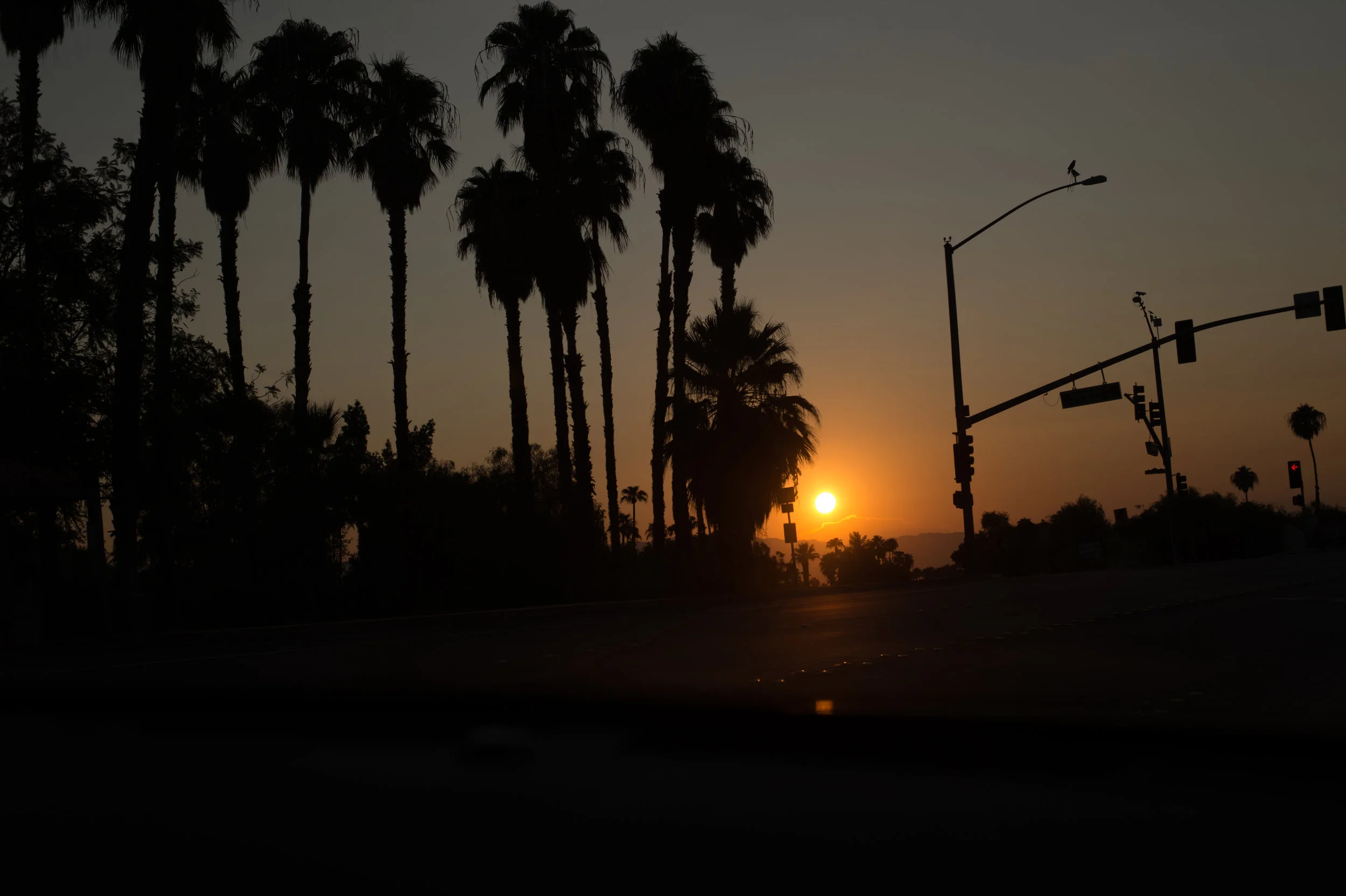 The-Glossier-Palm-Springs-CA-1.jpg