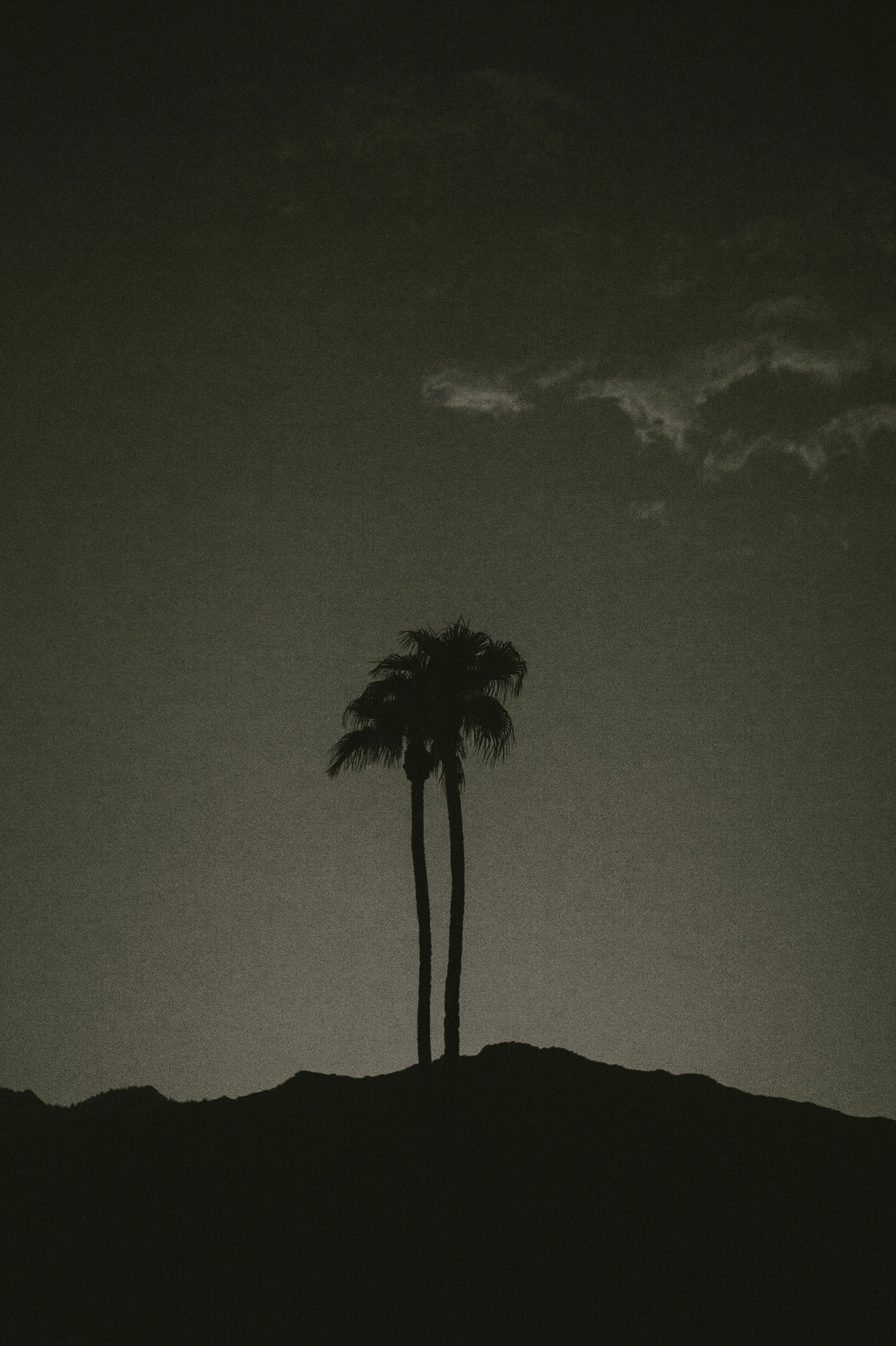 The-Glossier-Palm-Springs-CA-51.jpg