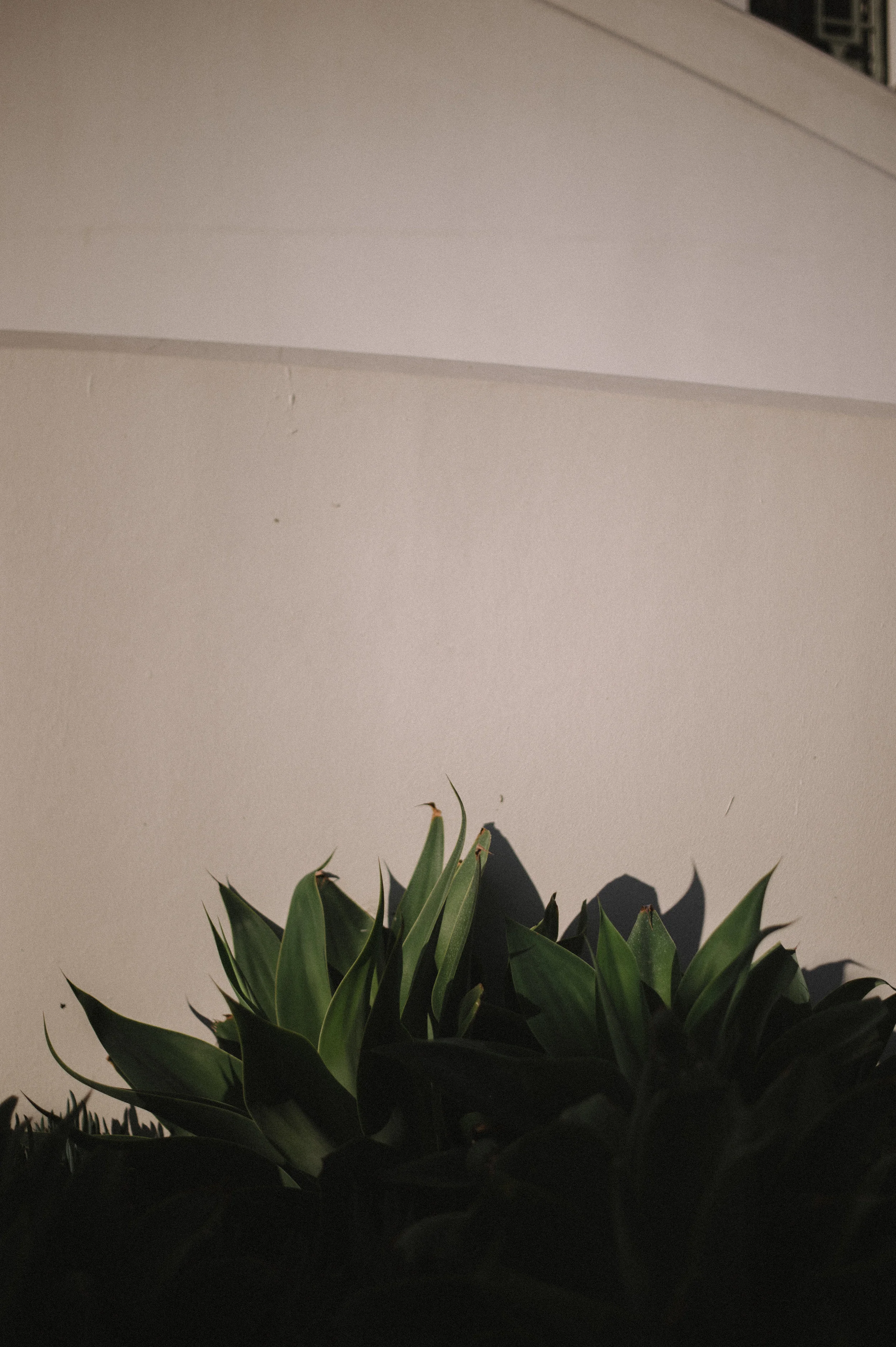 LA-Los-Angeles-Photo-Diary-The-Glossier-70.jpg