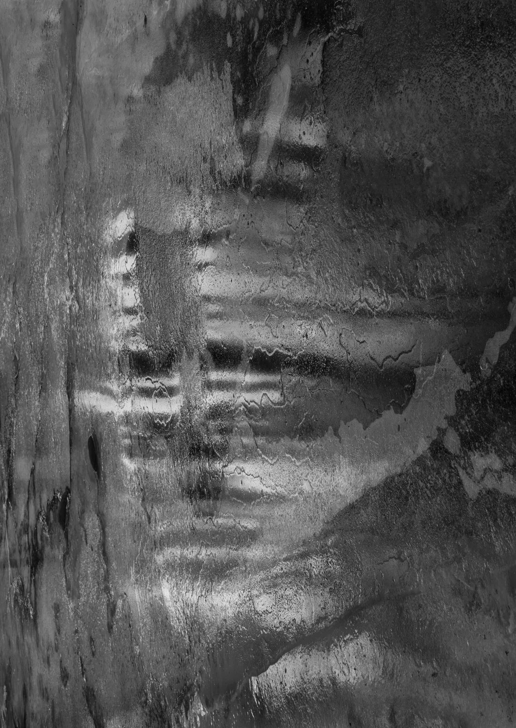 The Ice Man, 2016