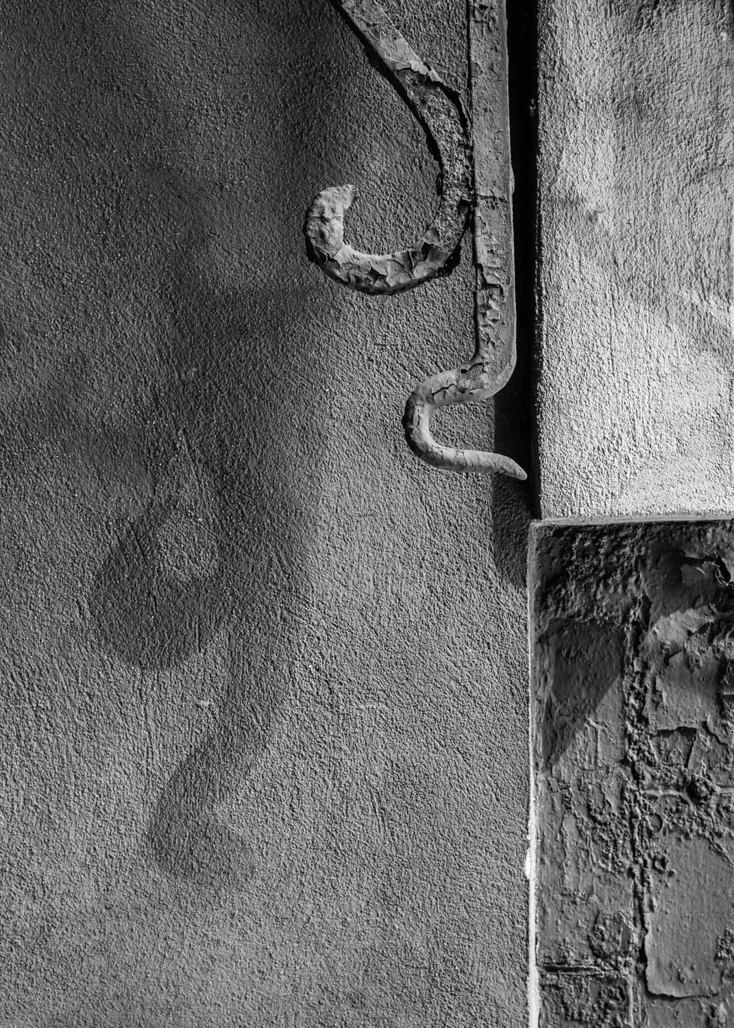 Wall Walker, 2016