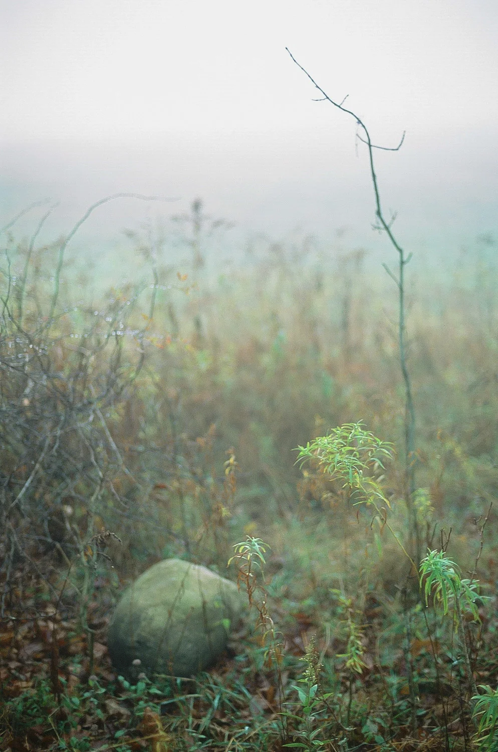 Madison County, NY 2017