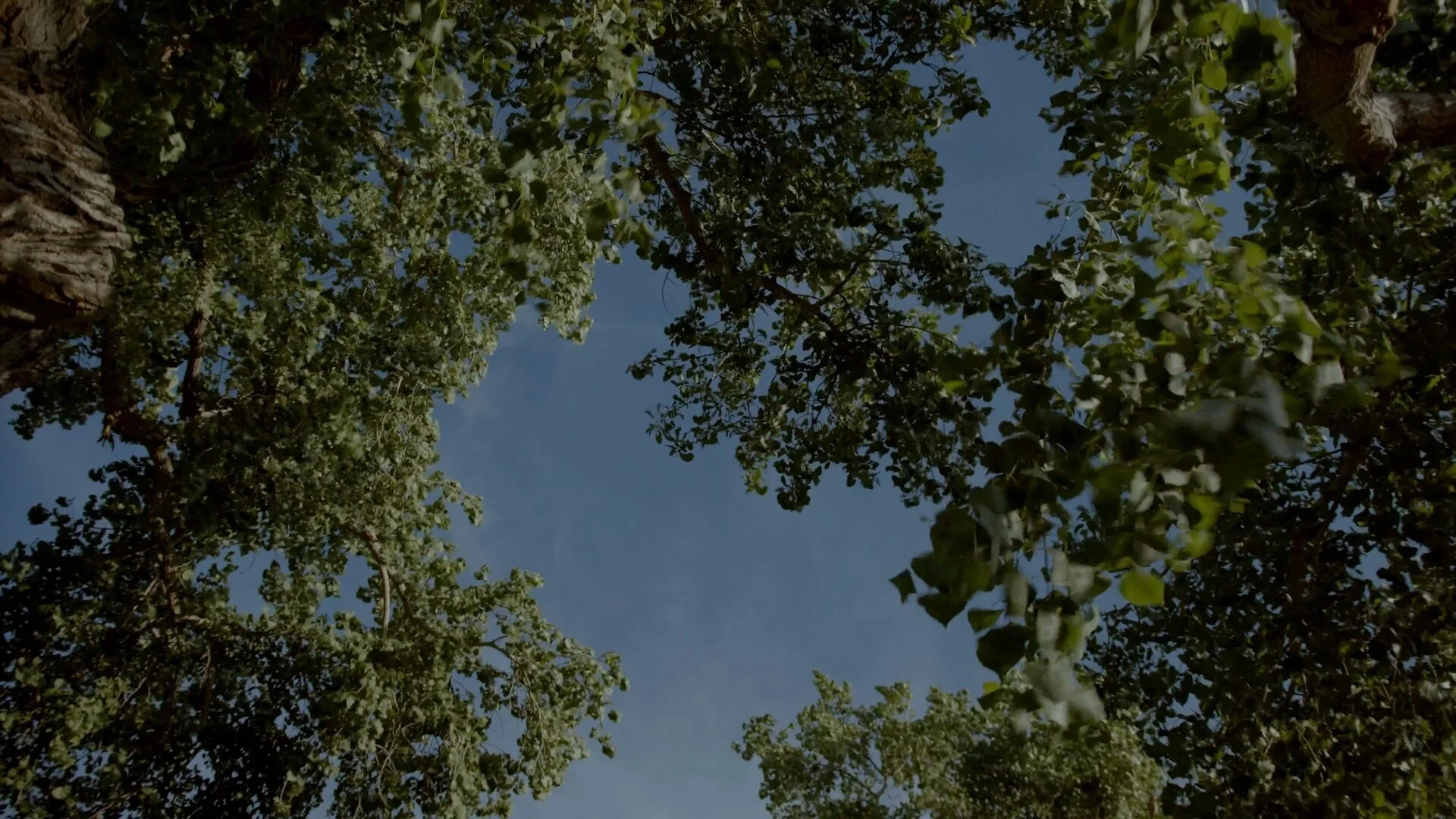 ITC4_1.1.4.jpg